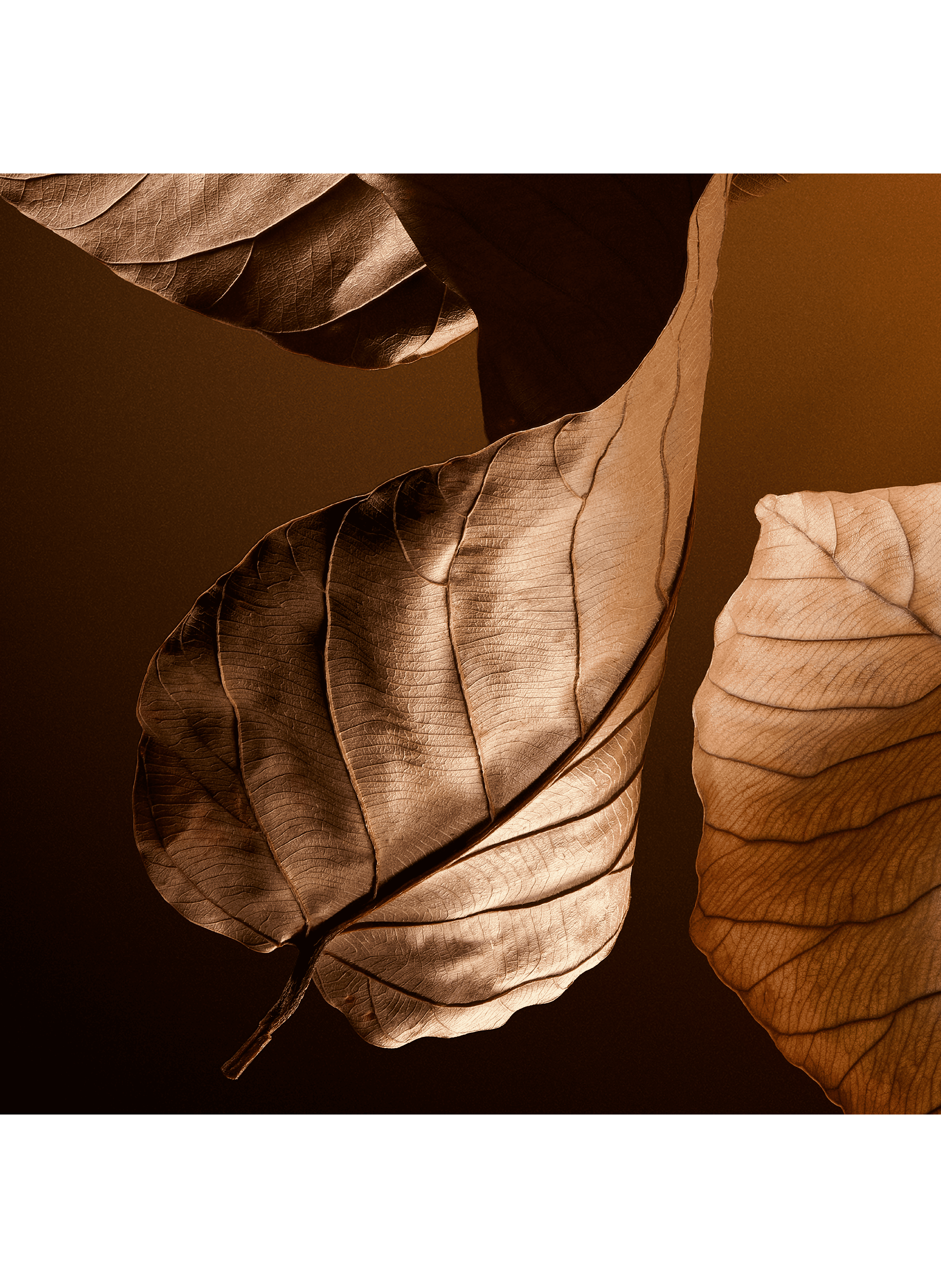 The One Pour Homme - Eau de Parfum DOLCE & GABBANA No color