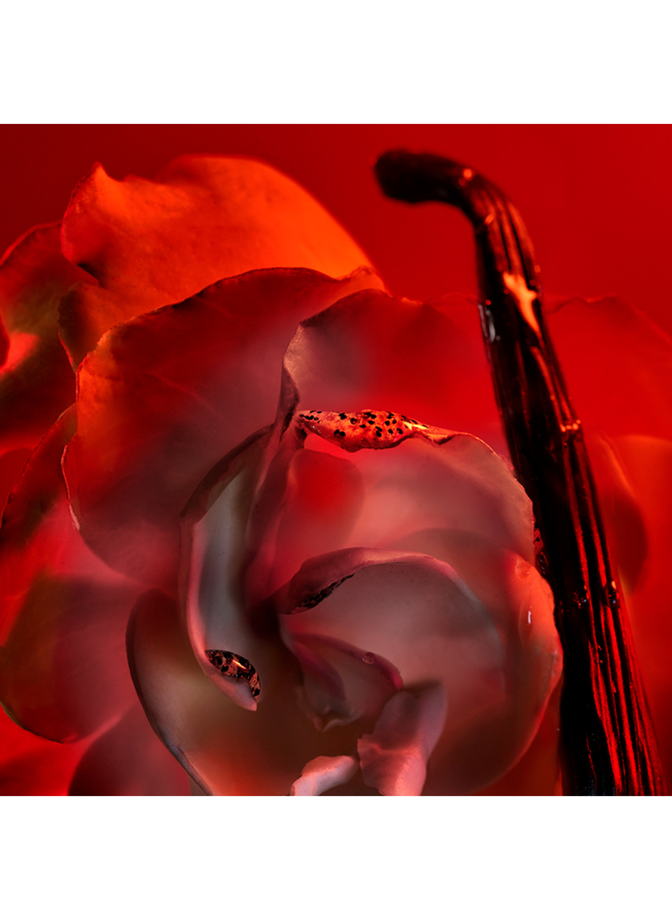 Bvlgari Allegra Baciami - Liquid Soap BVLGARI No color