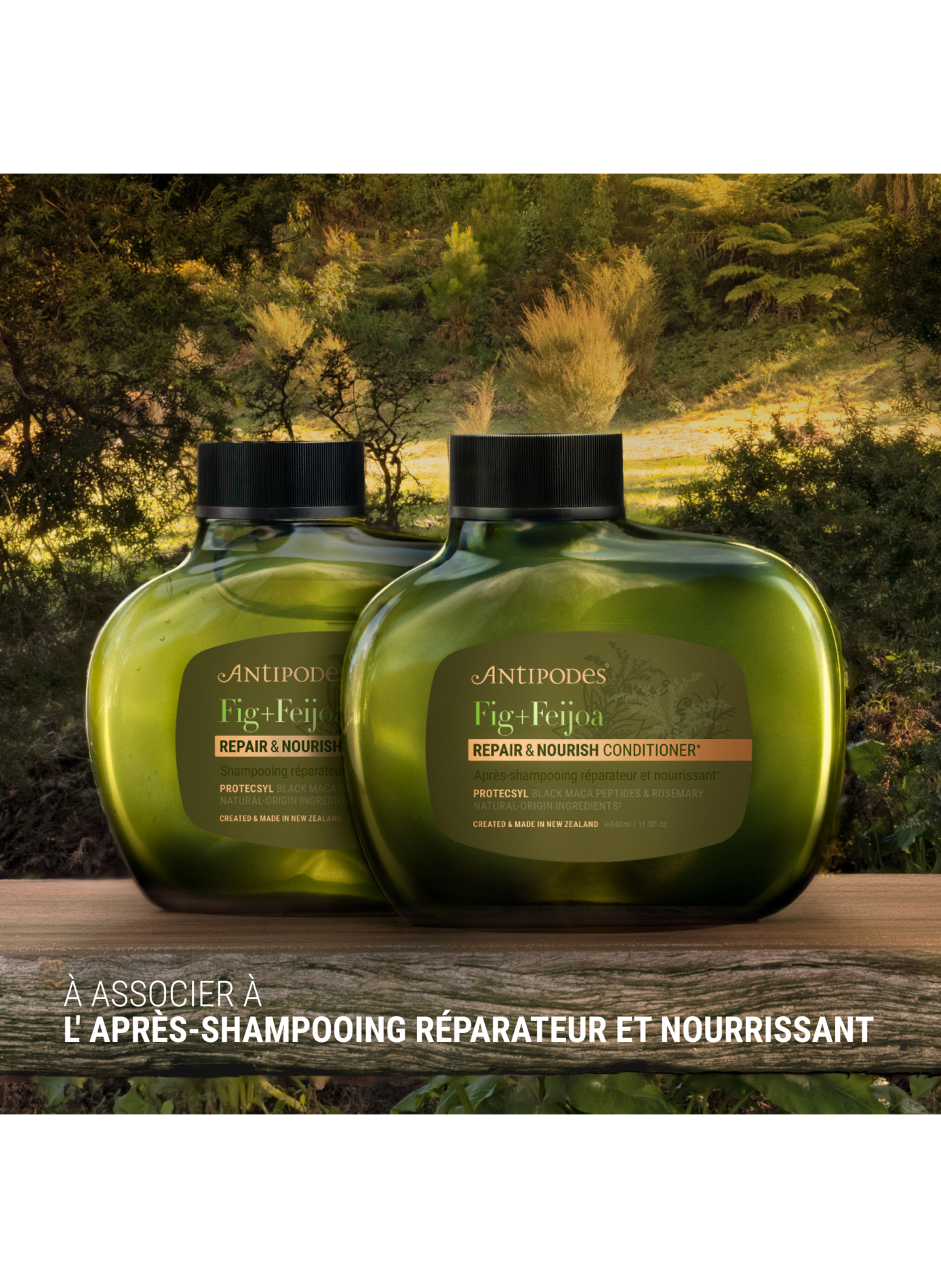 Shampoing Figue - Feijoa Réparateur et Nourrissant ANTIPODES No color