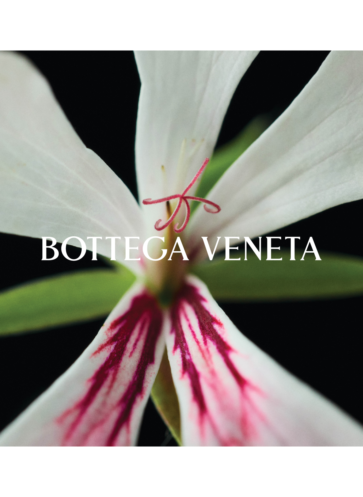 Mitternacht - Eau de Parfum BOTTEGA VENETA No color