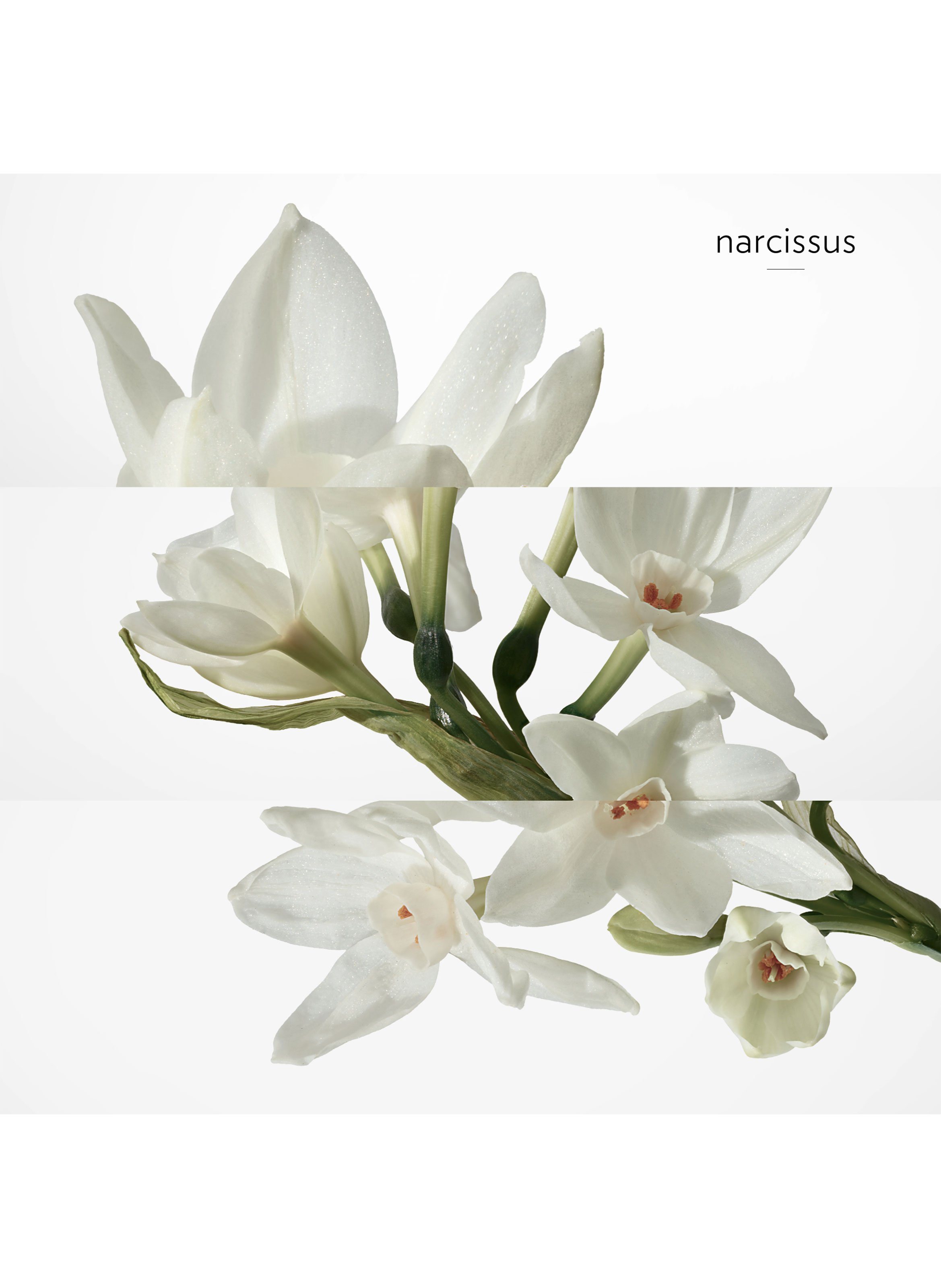 H24, déodorant vaporisateur fraîcheur HERMÈS No color