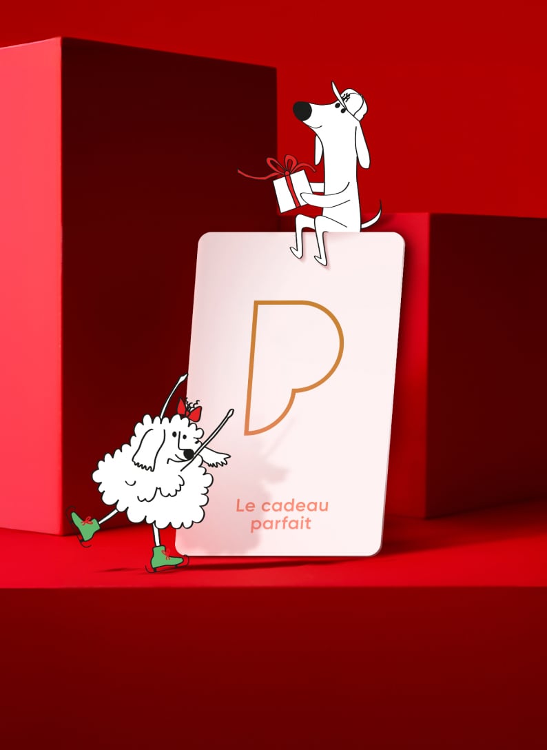 Image d'illustration