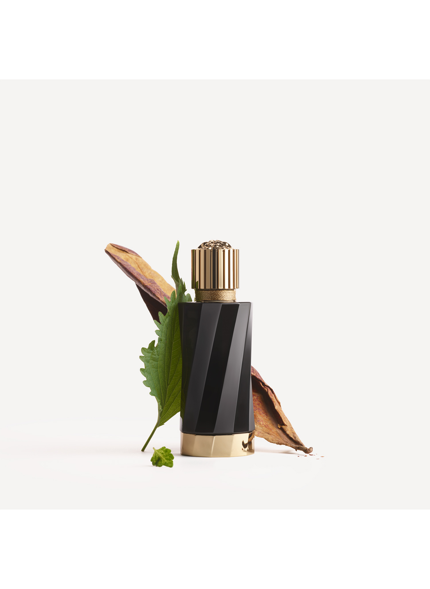 Imperial Tobacco - Eau de Parfum VERSACE No color
