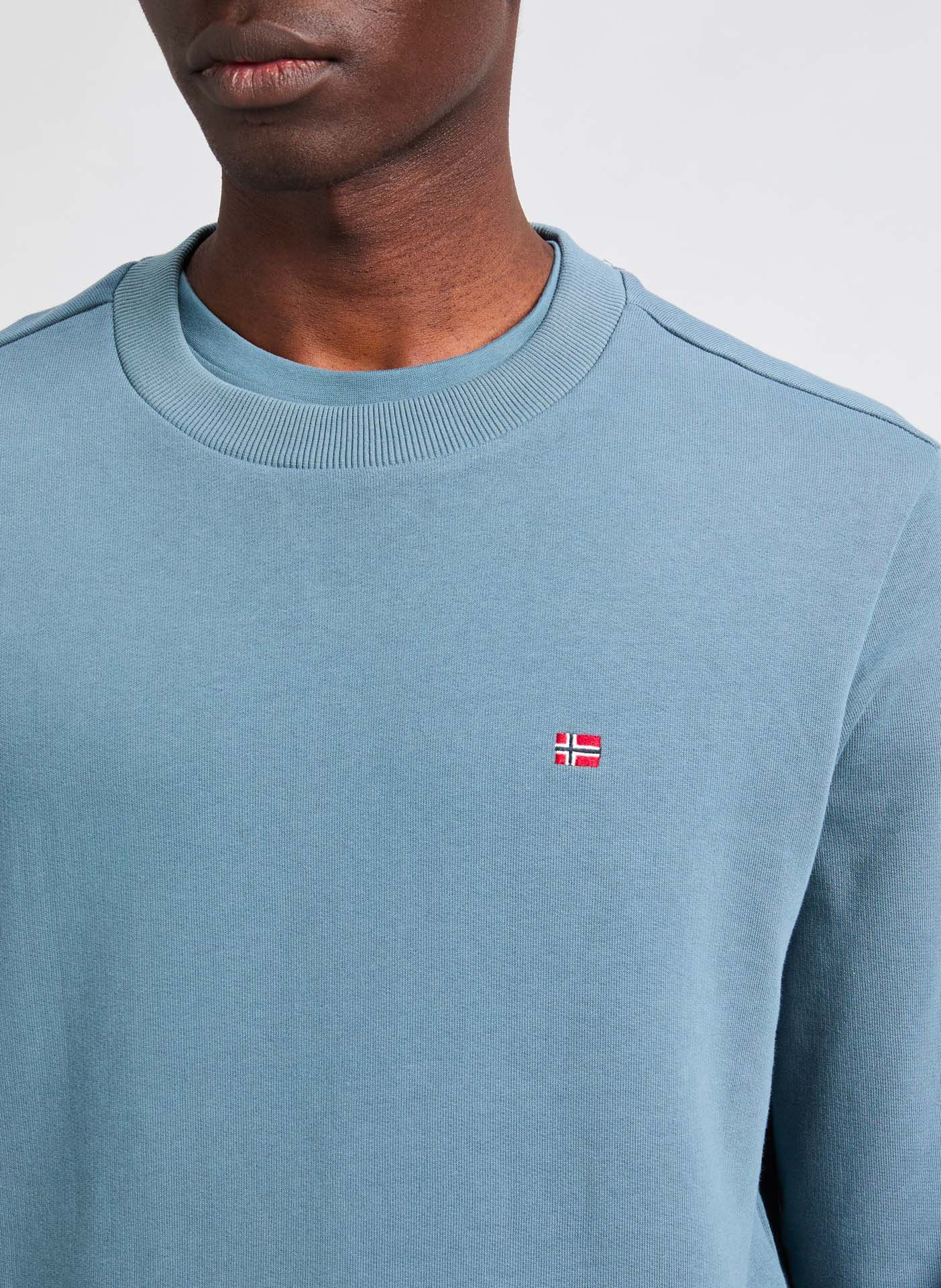 Cotton sweatshirt NAPAPIJRI Grey