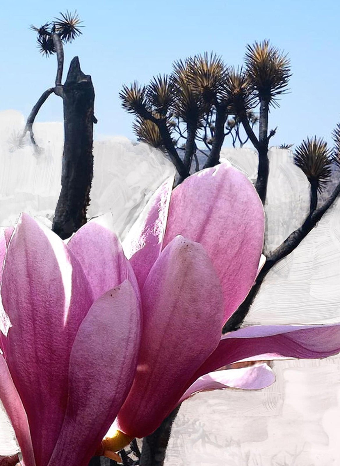 Eau de Parfum - Mojave Ghost BYREDO No color