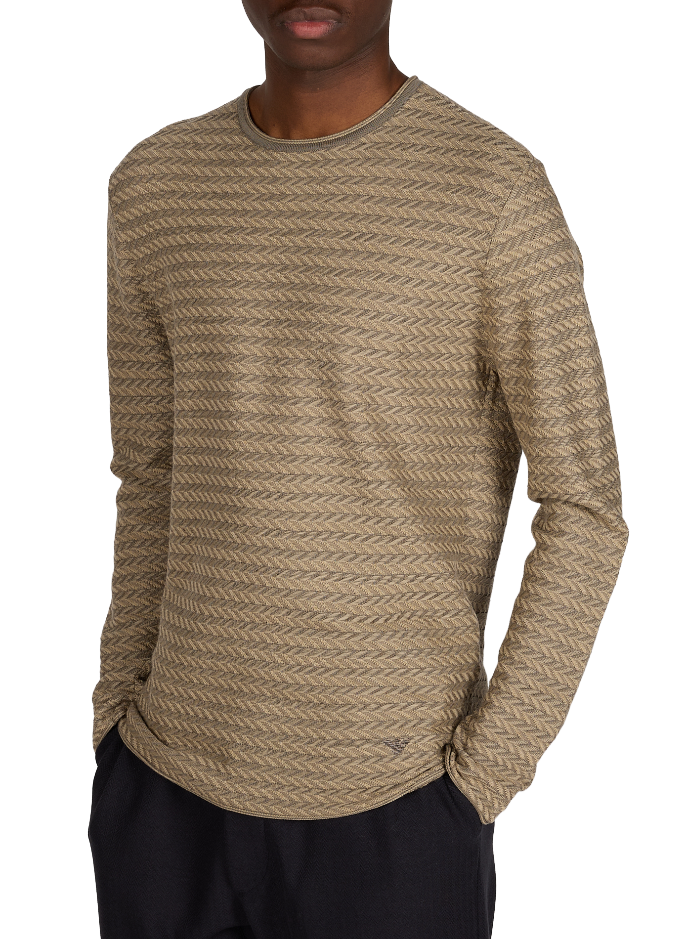 Round neck sweater with virgin wool pattern EMPORIO ARMANI Beige