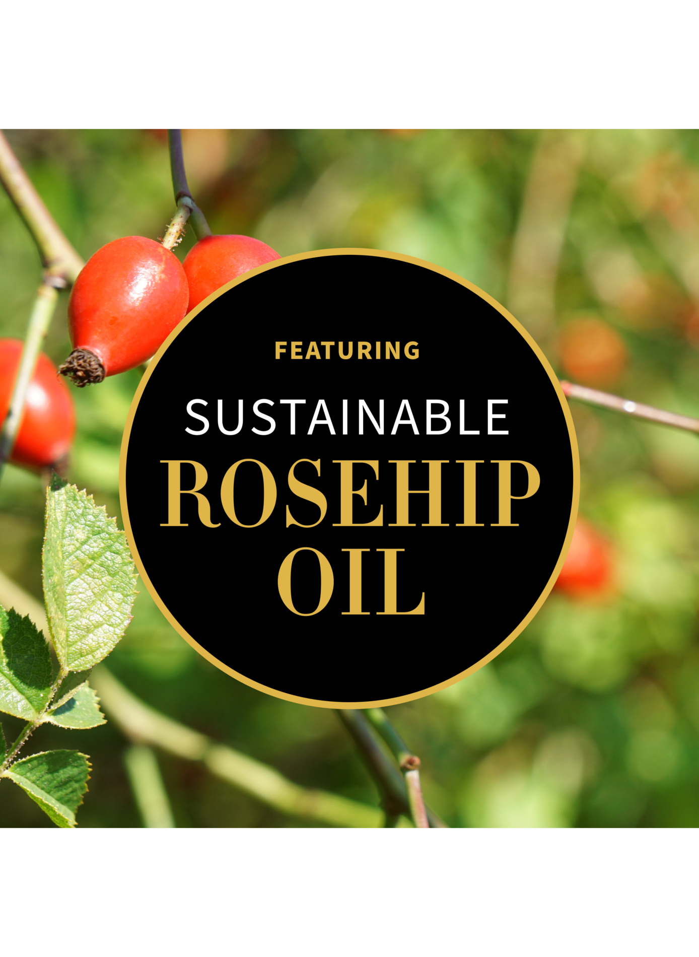 Vanilla Pod - Crème de jour hydratante ANTIPODES No color