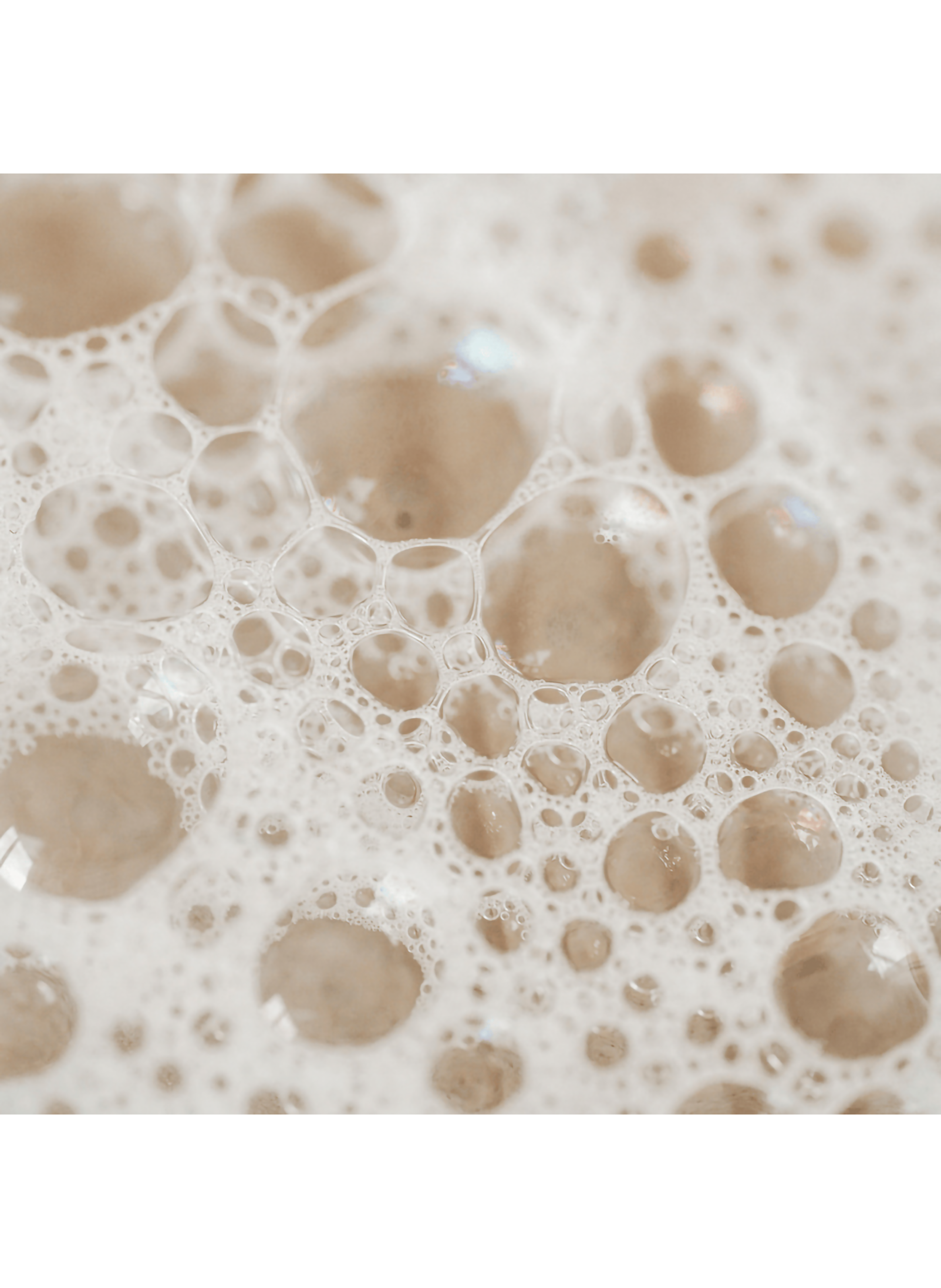 Cleansing Gel - Purifying, Detoxifying, and Soothing CODAGE No color