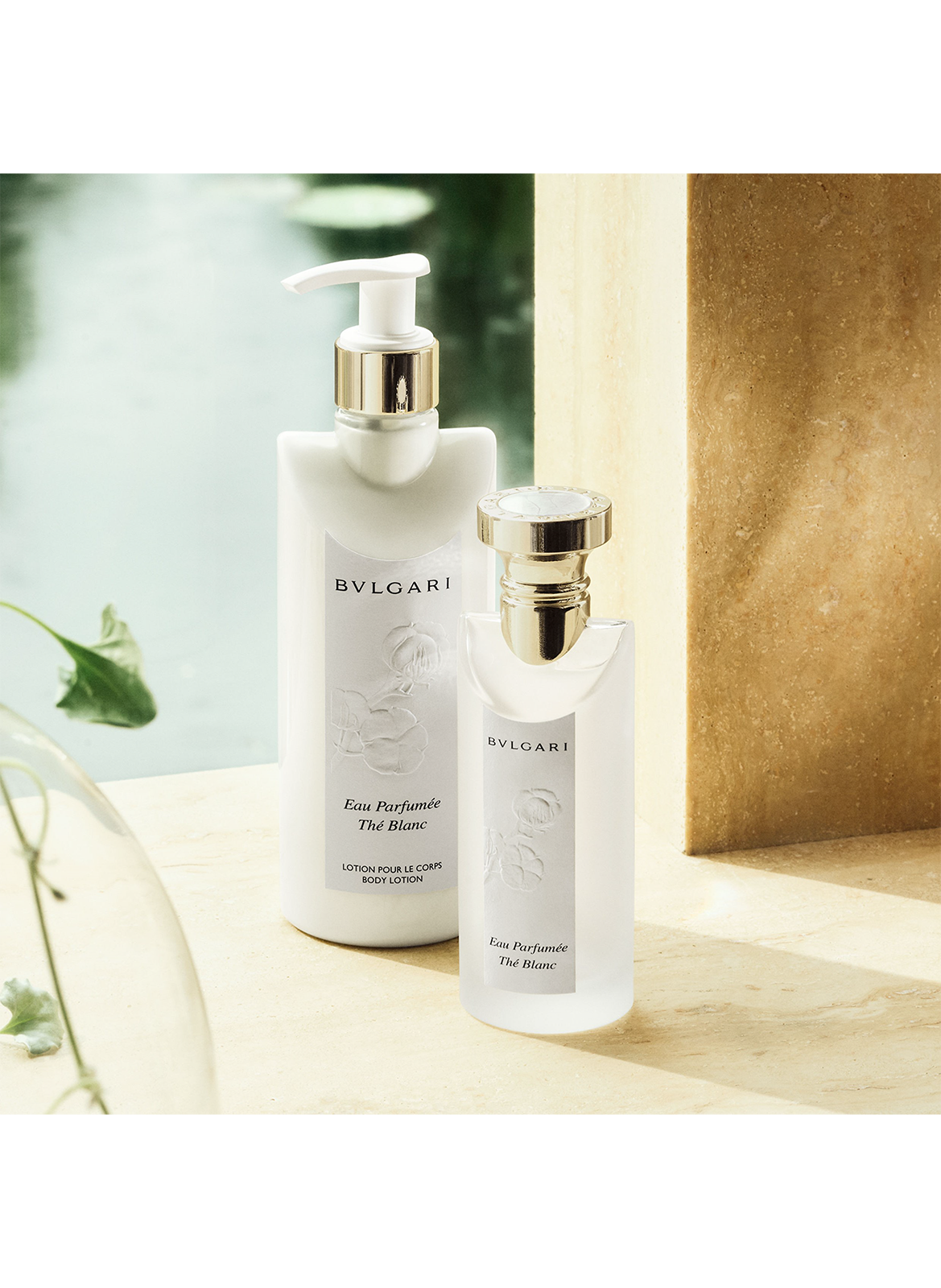 White Tea Scented Water - Body Lotion BVLGARI No color