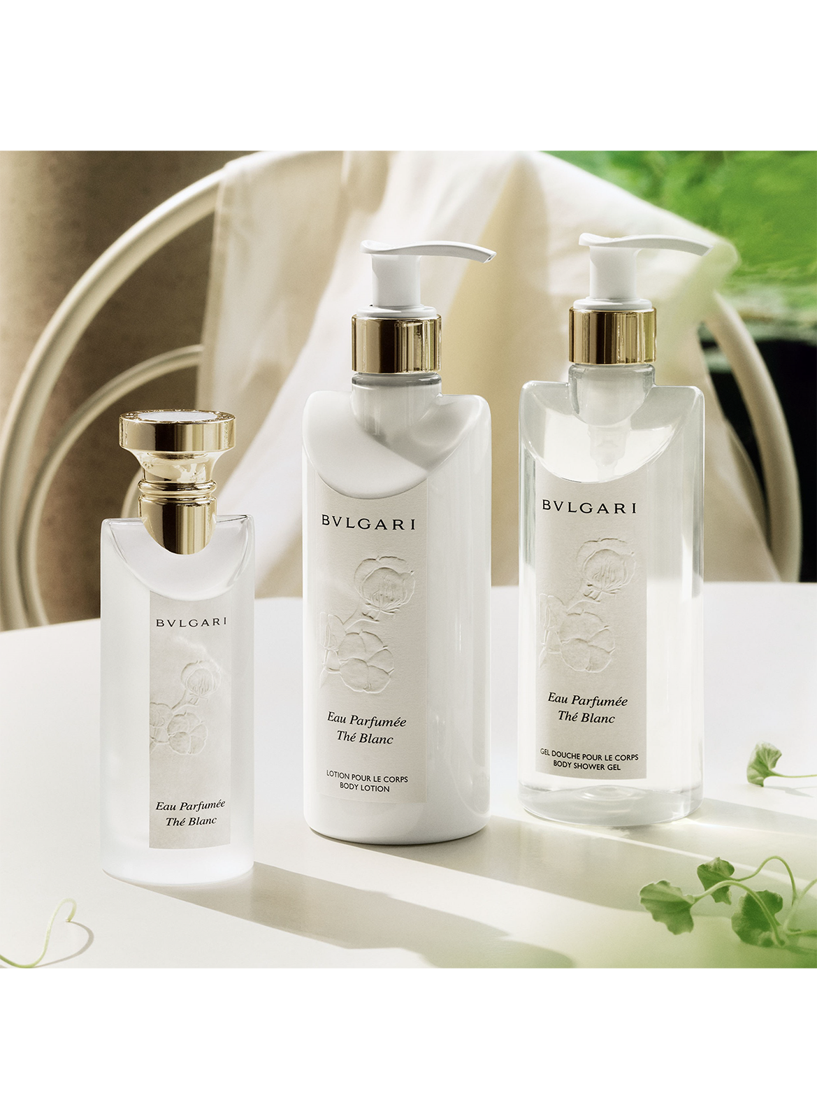 White Tea Scented Water - Body Lotion BVLGARI No color