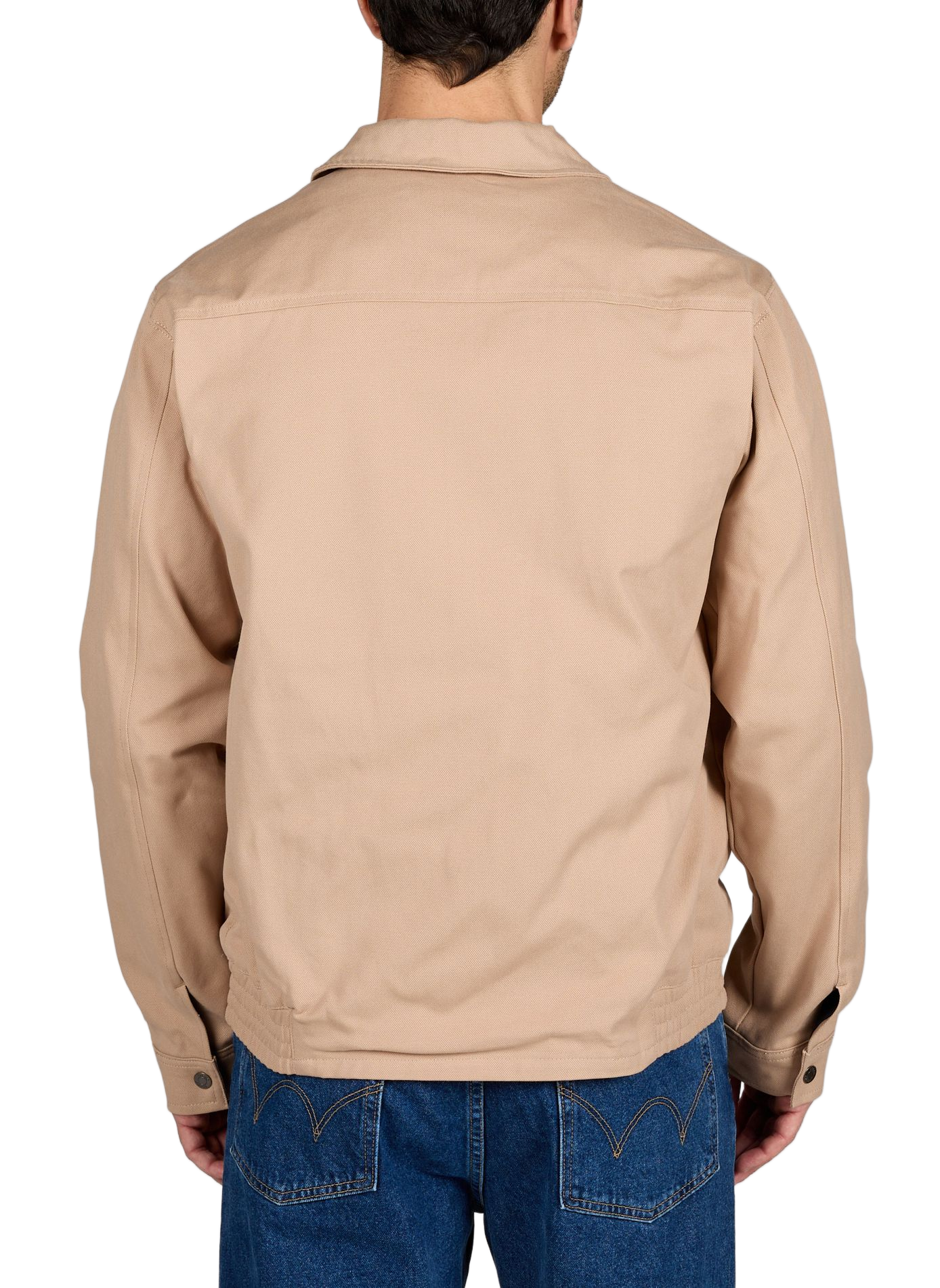 Cotton jacket with classic collar FAGUO Beige