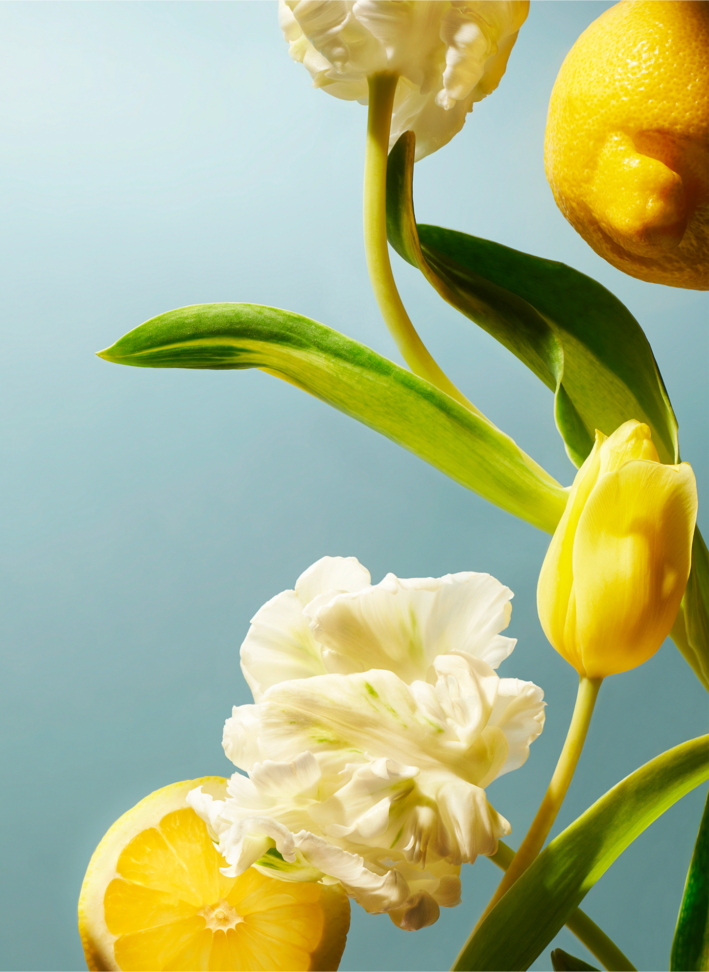 Amsterdam Collection - Coffret Corps & Bain L RITUALS No color