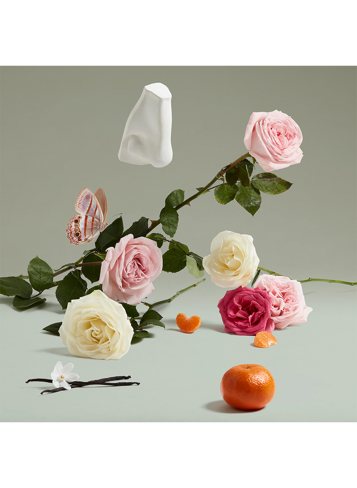 La Duchesse Rose - Eau de parfum PENHALIGON'S No color