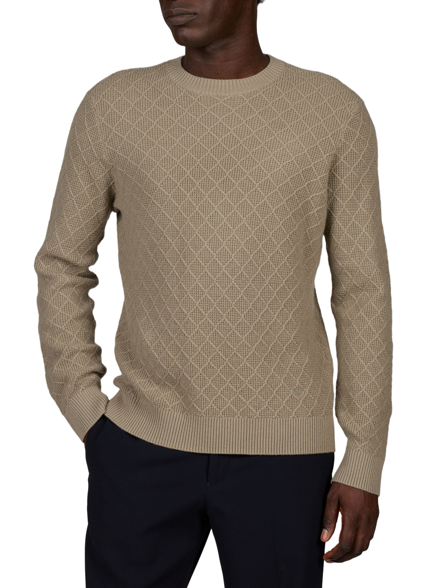 Oversized wool and cashmere jumper EMPORIO ARMANI Beige