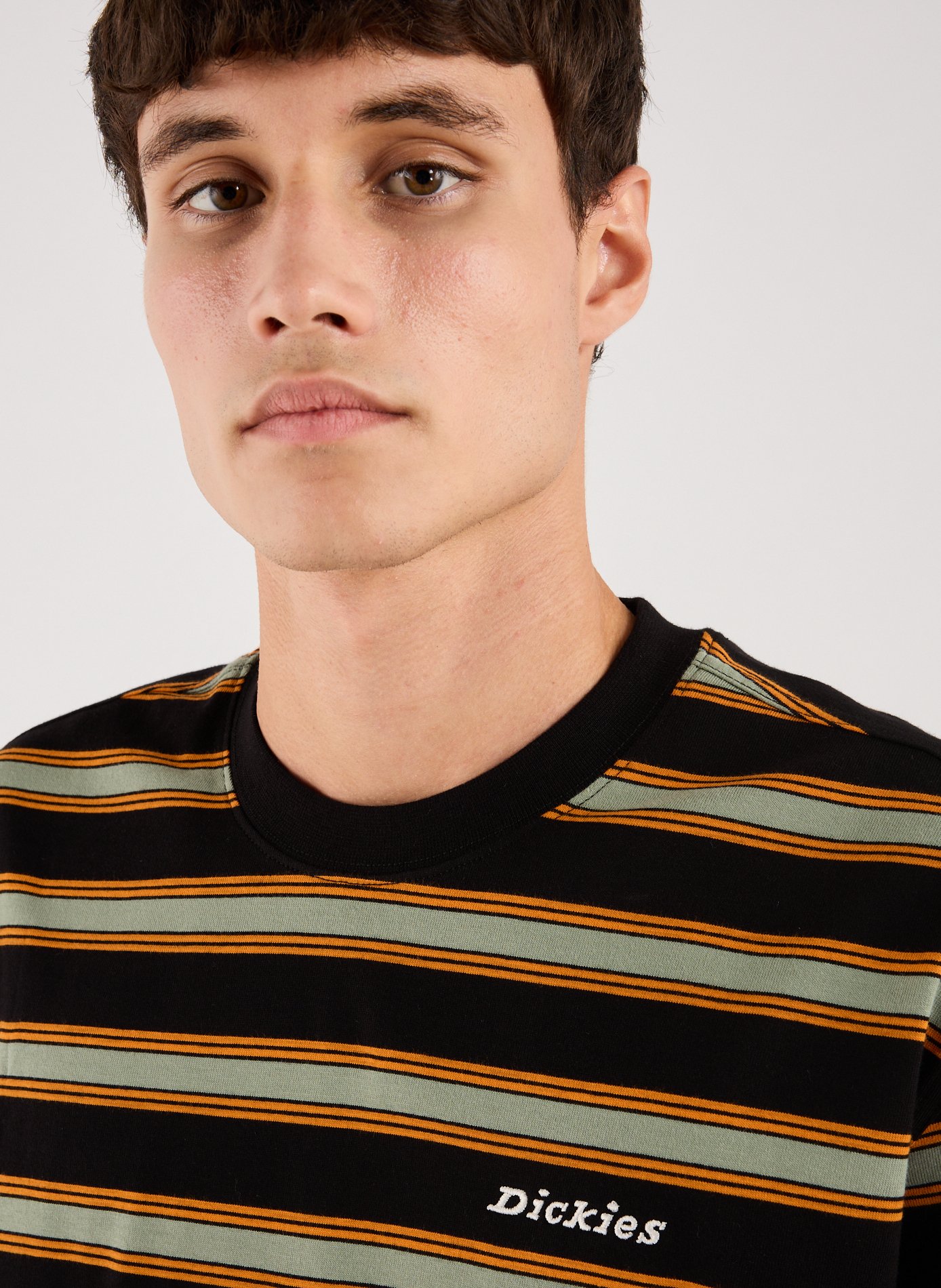Striped T-shirt DICKIES Black