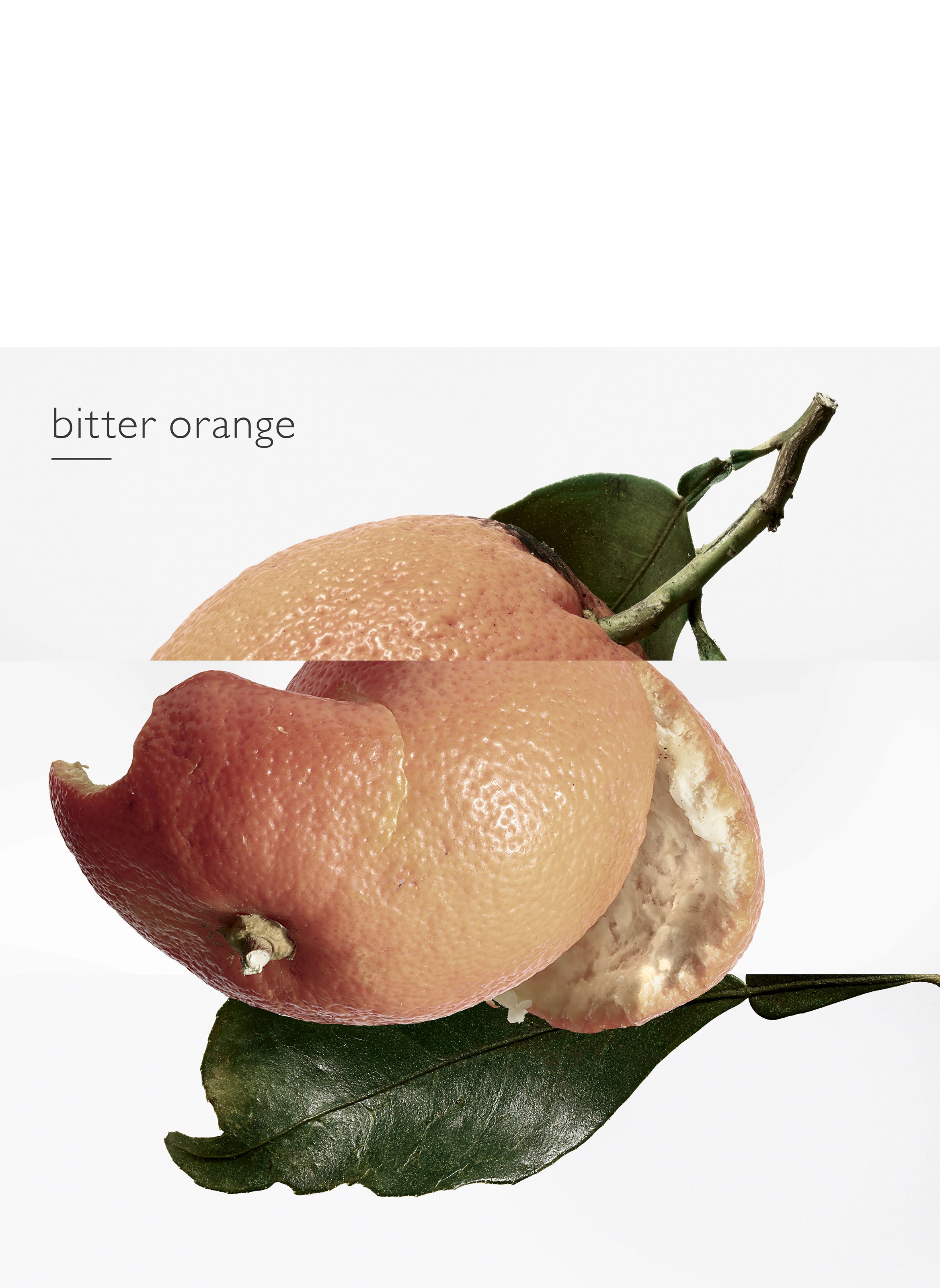 Eau des Merveilles, Eau de toilette HERMÈS No color