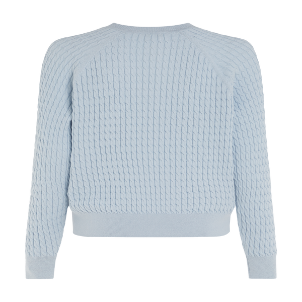 Tommy Hilfiger Cable Knit Jumper In Blue