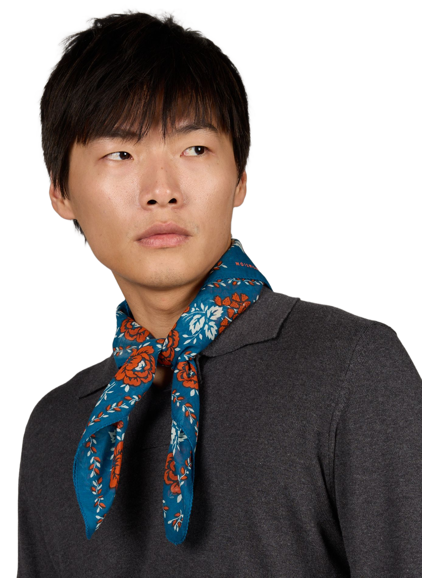 Printed Cotton Scarf MOISMONT Blue