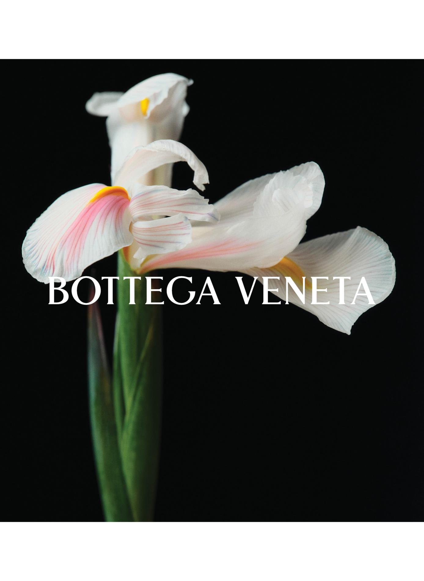 Komm mit mir - Eau de Parfum BOTTEGA VENETA No color