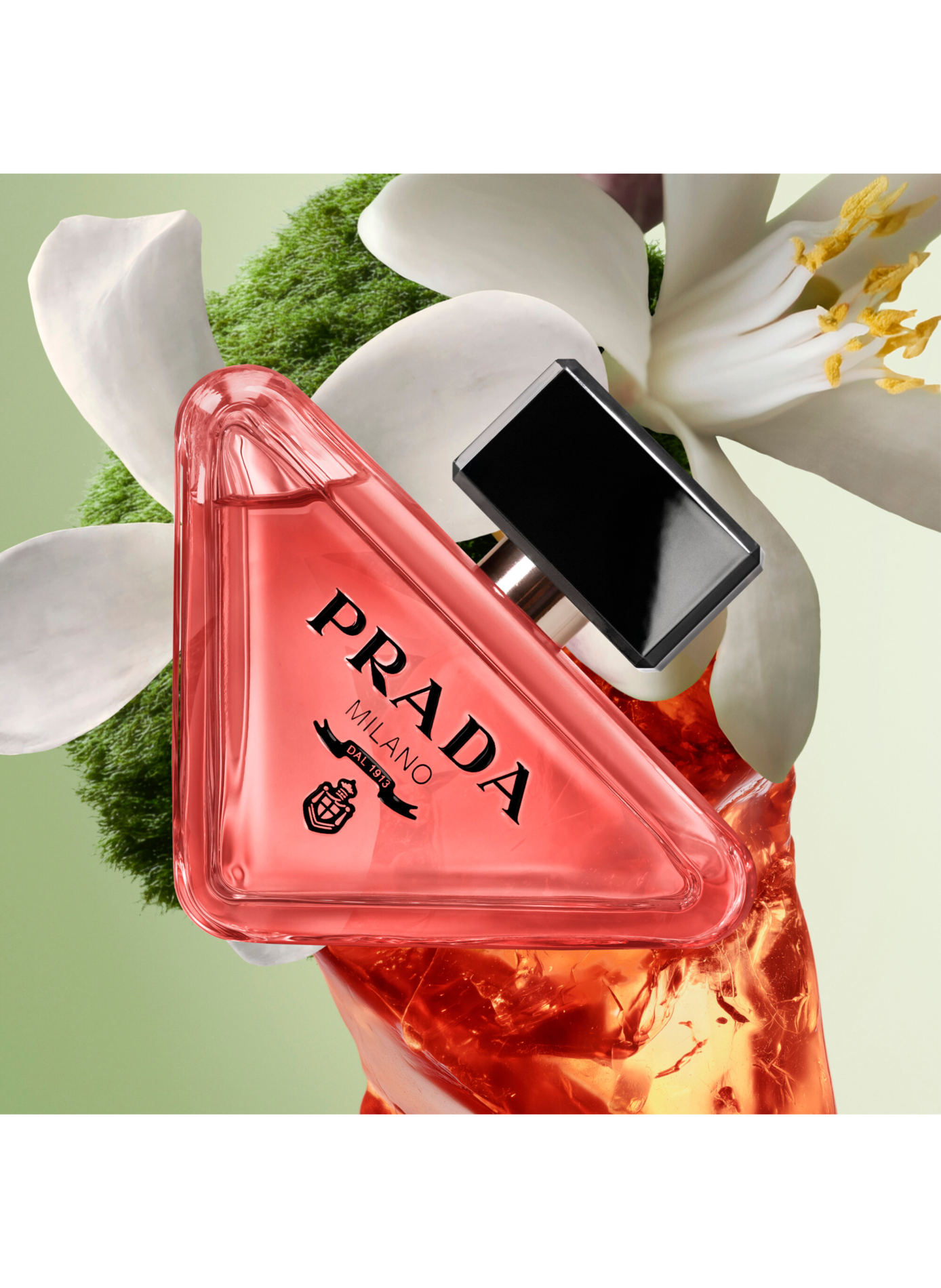 Paradox - Navulling - Bloemig Amberachtig Houtachtig Eau de Parfum voor dames PRADA No color