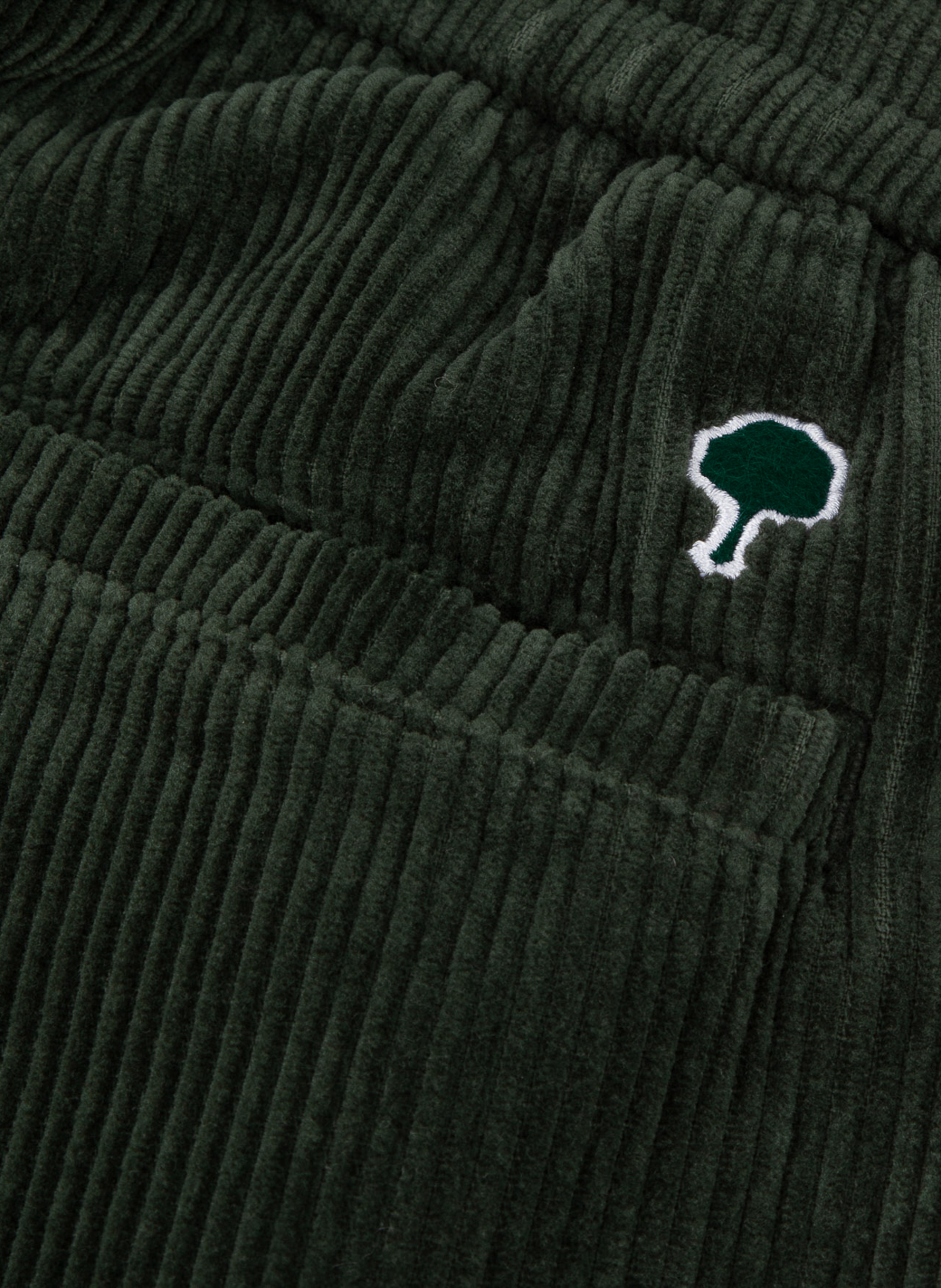 Pantalon droit en velours côtelé | Vert FAGUO Homme