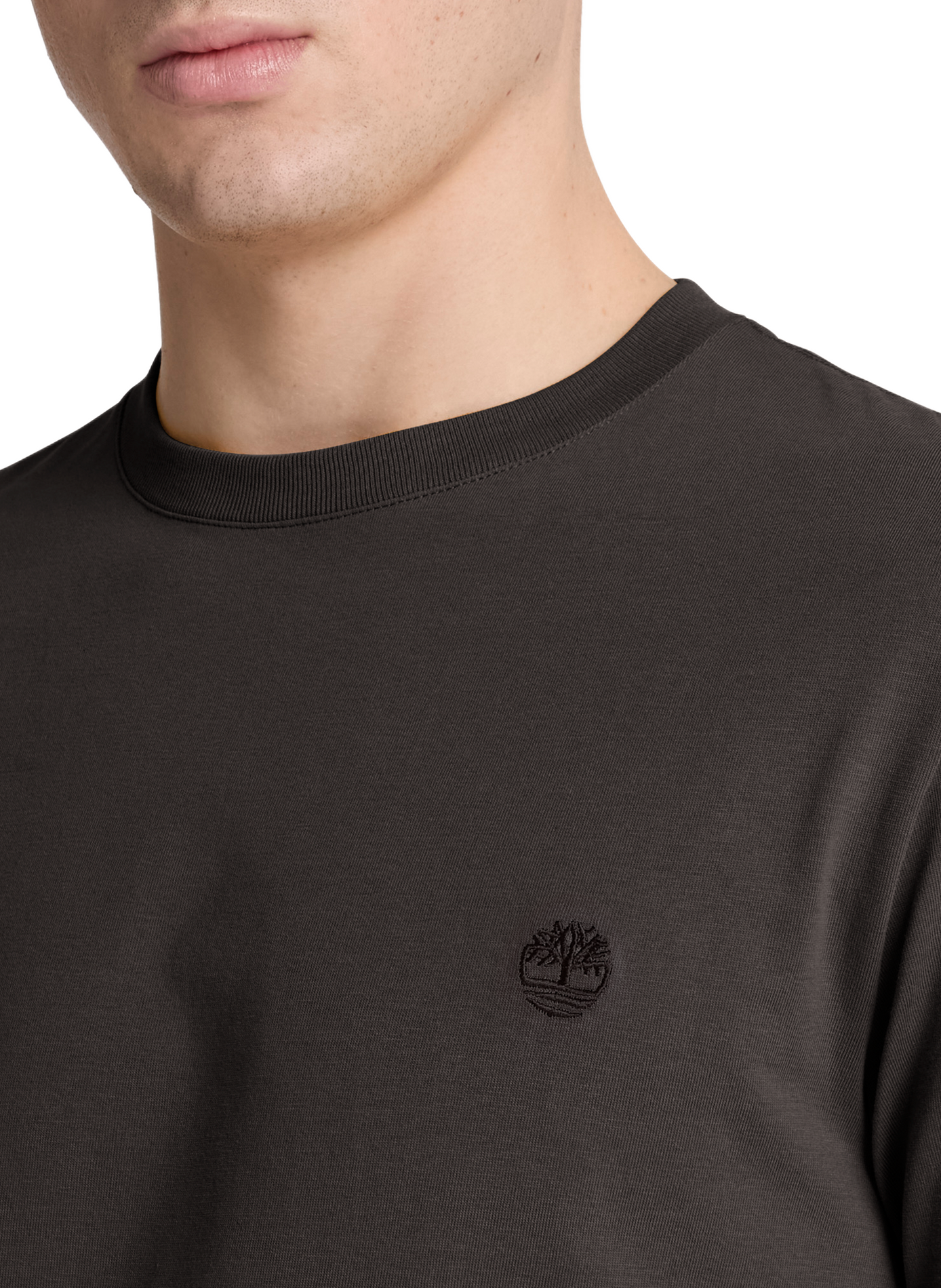 Straight T-shirt with embroidered logo in cotton TIMBERLAND Black