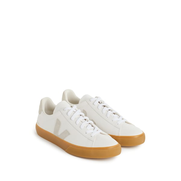 Baskets Campo en cuir