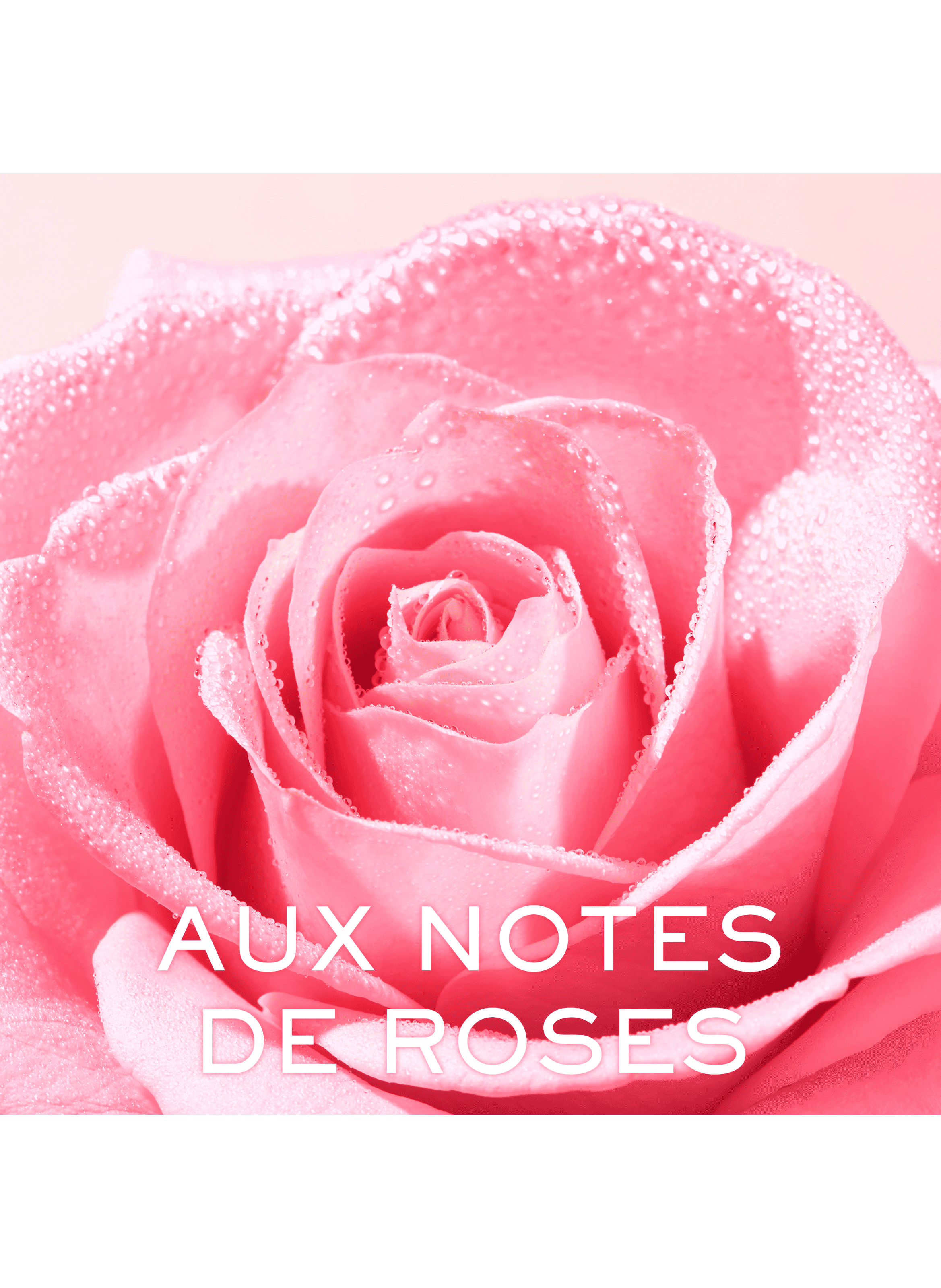 Lait démaquillant onctueux Very Rose NUXE No color