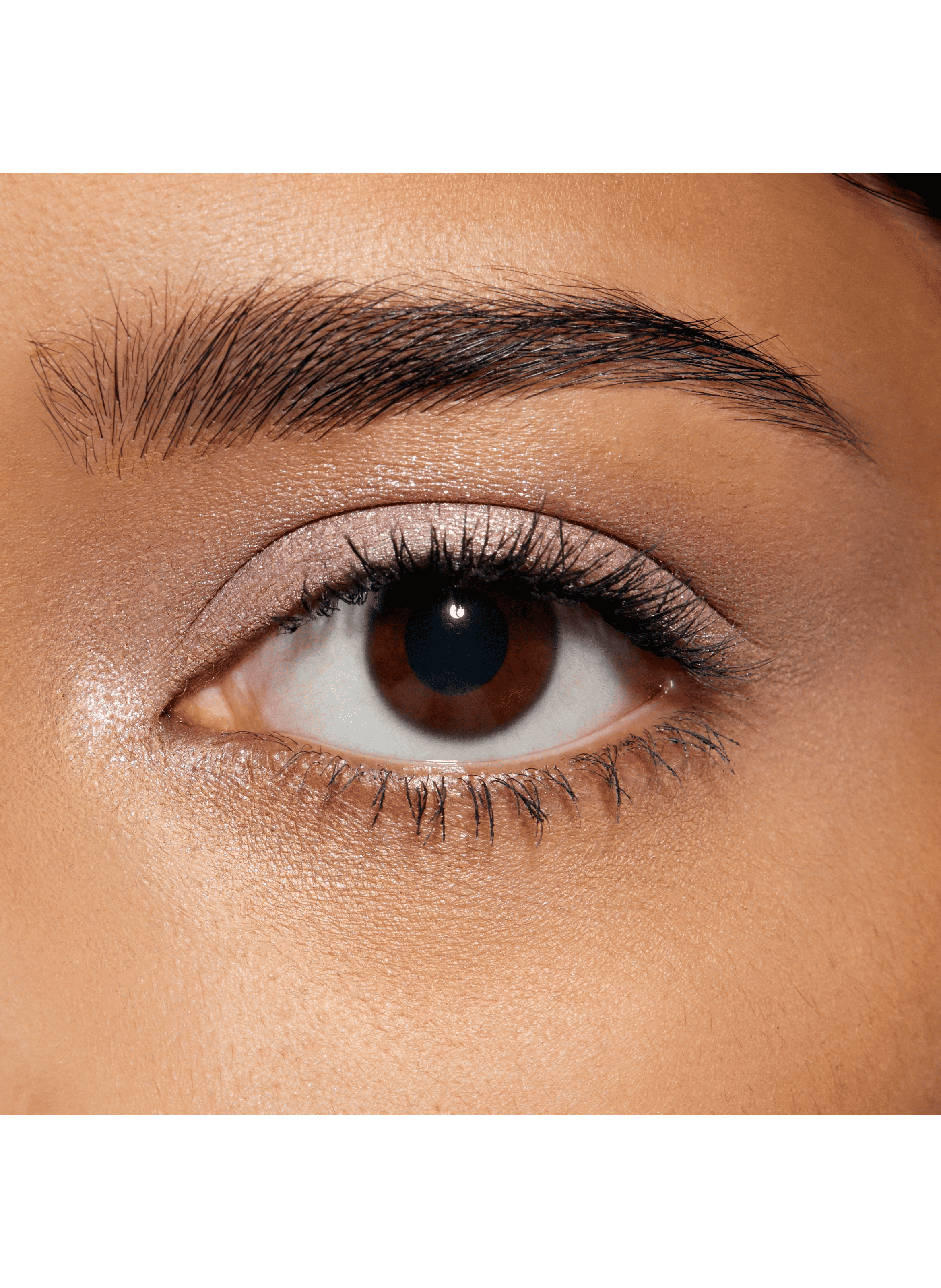 Total Seduction Eyeshadow Stick Wired