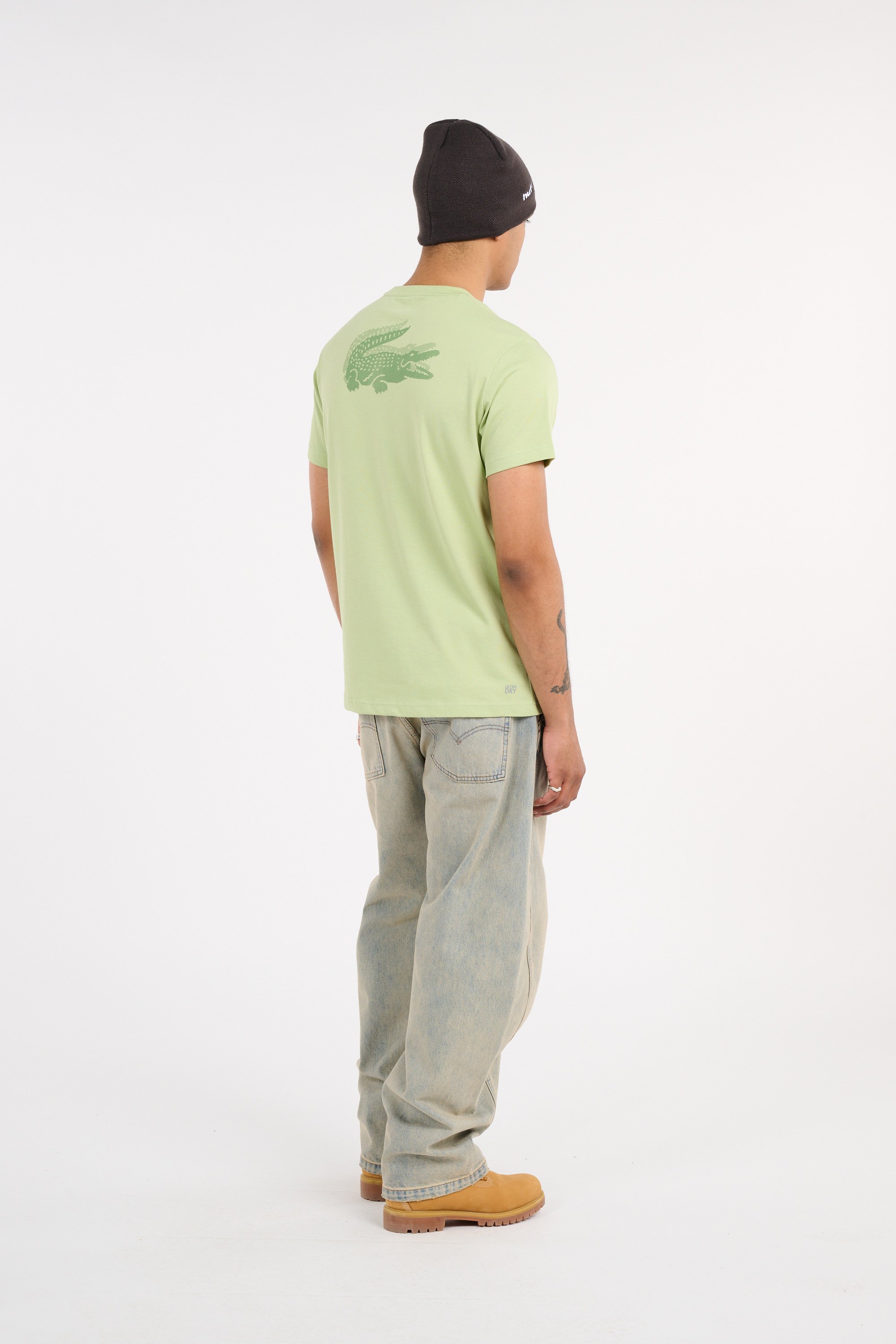 T-shirt tee-shirt LACOSTE Vert