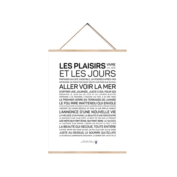 Affiche Les plaisirs et les jours