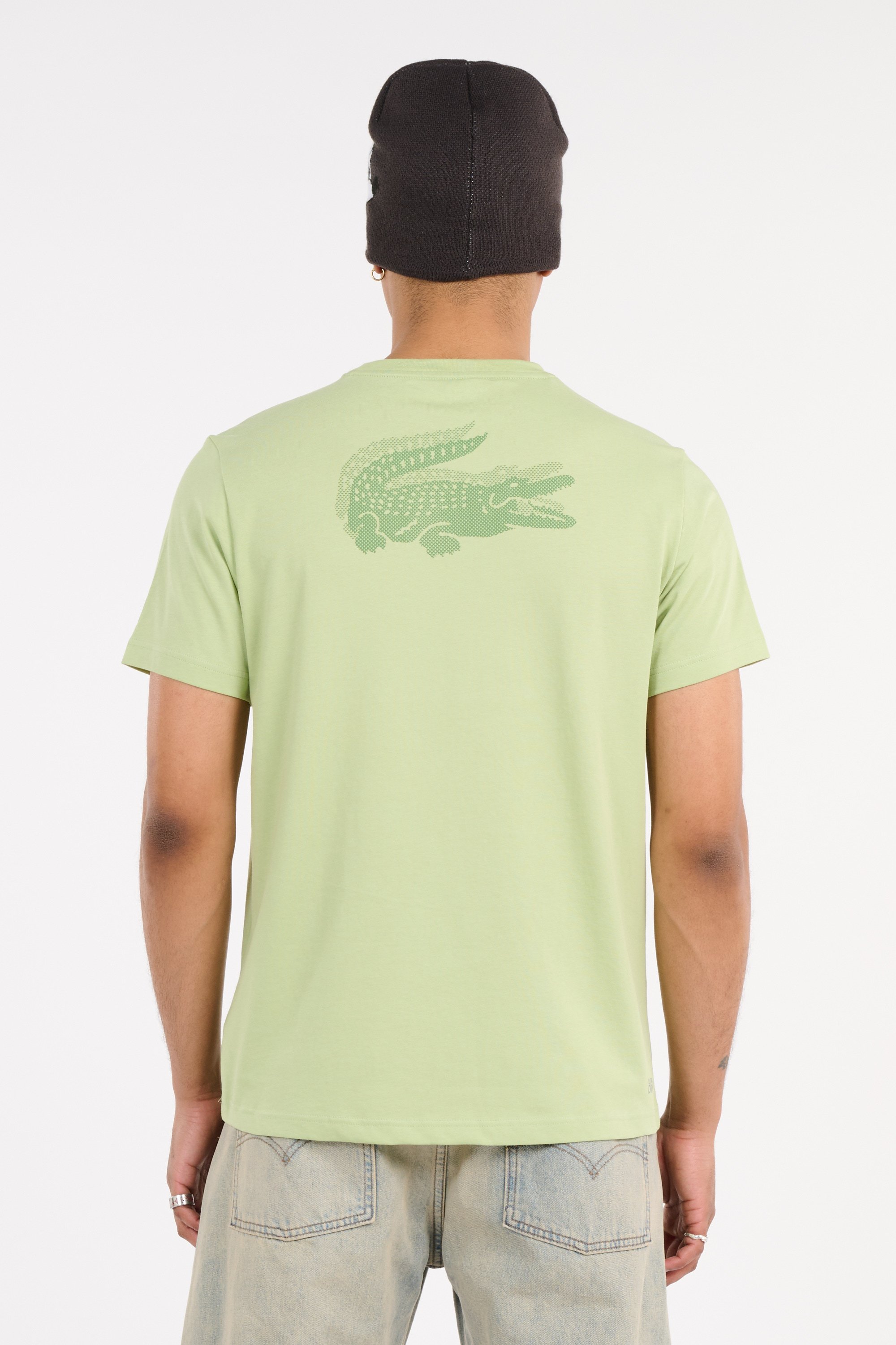 T-shirt tee-shirt LACOSTE Vert