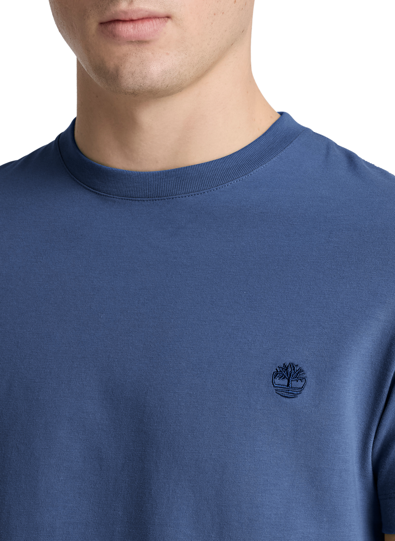 Straight T-shirt with embroidered logo in cotton TIMBERLAND Blue
