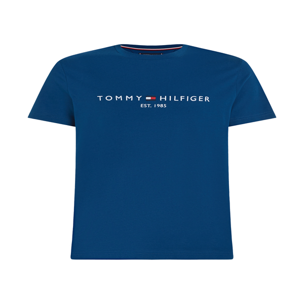 Tommy Hilfiger cotton t-shirt