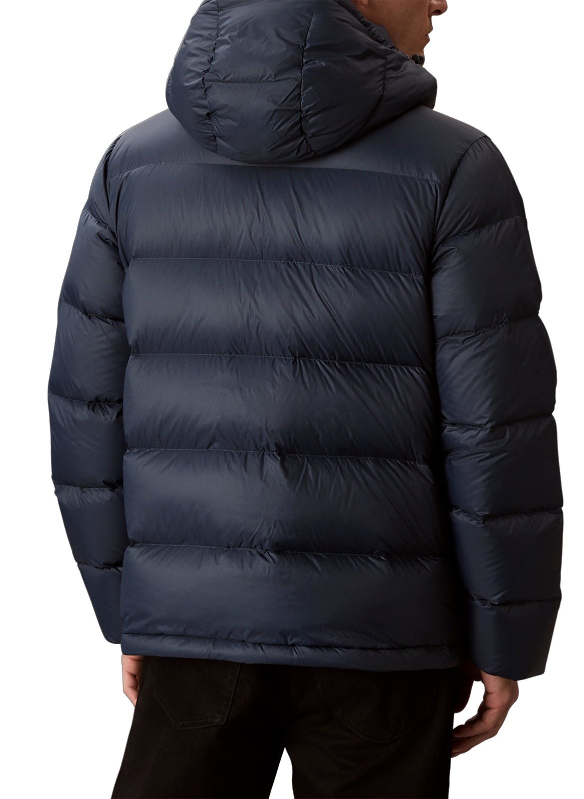 Down jacket with logo CALVIN KLEIN Blue
