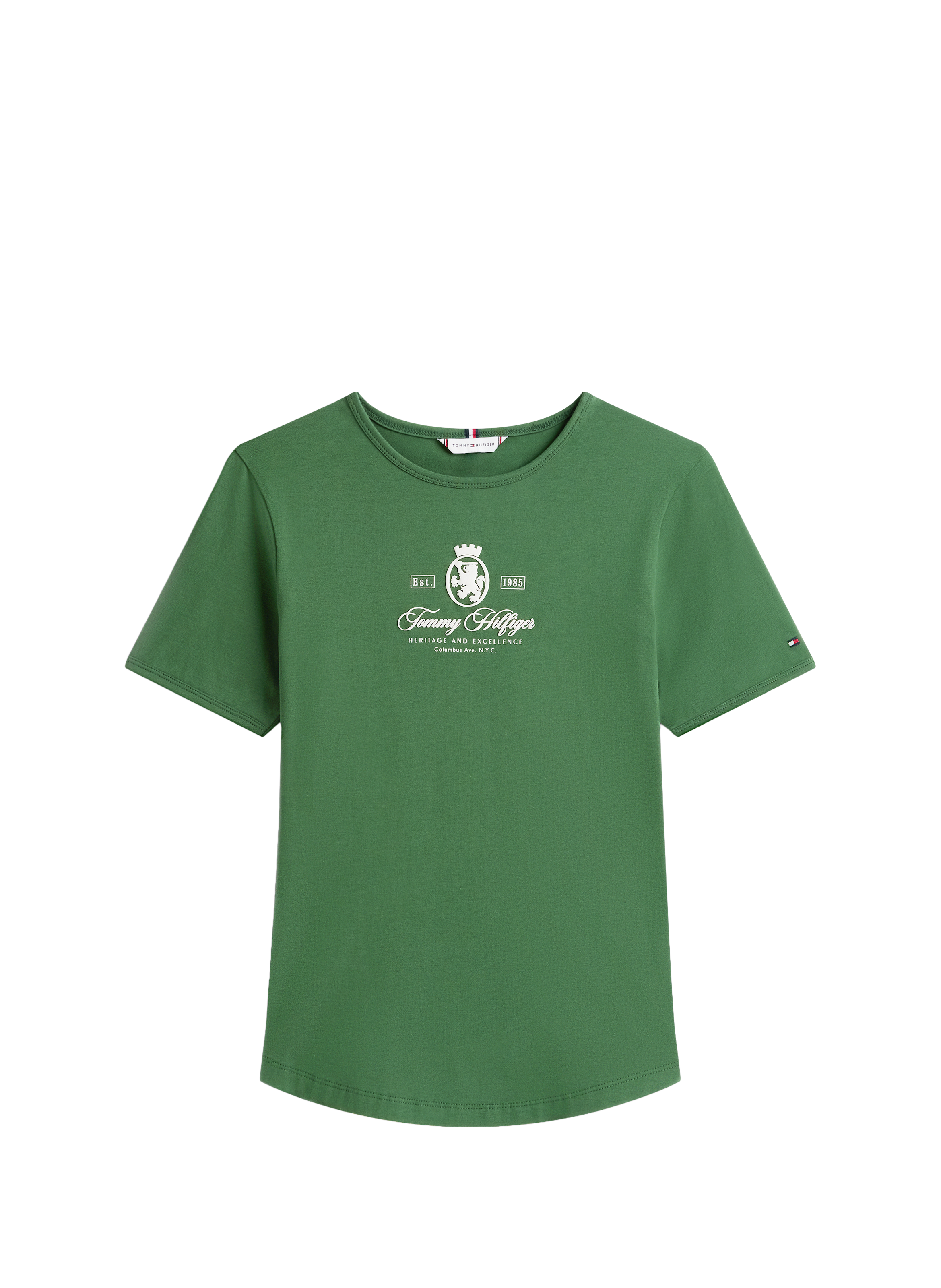 Classic Cotton T-Shirt TOMMY HILFIGER Green