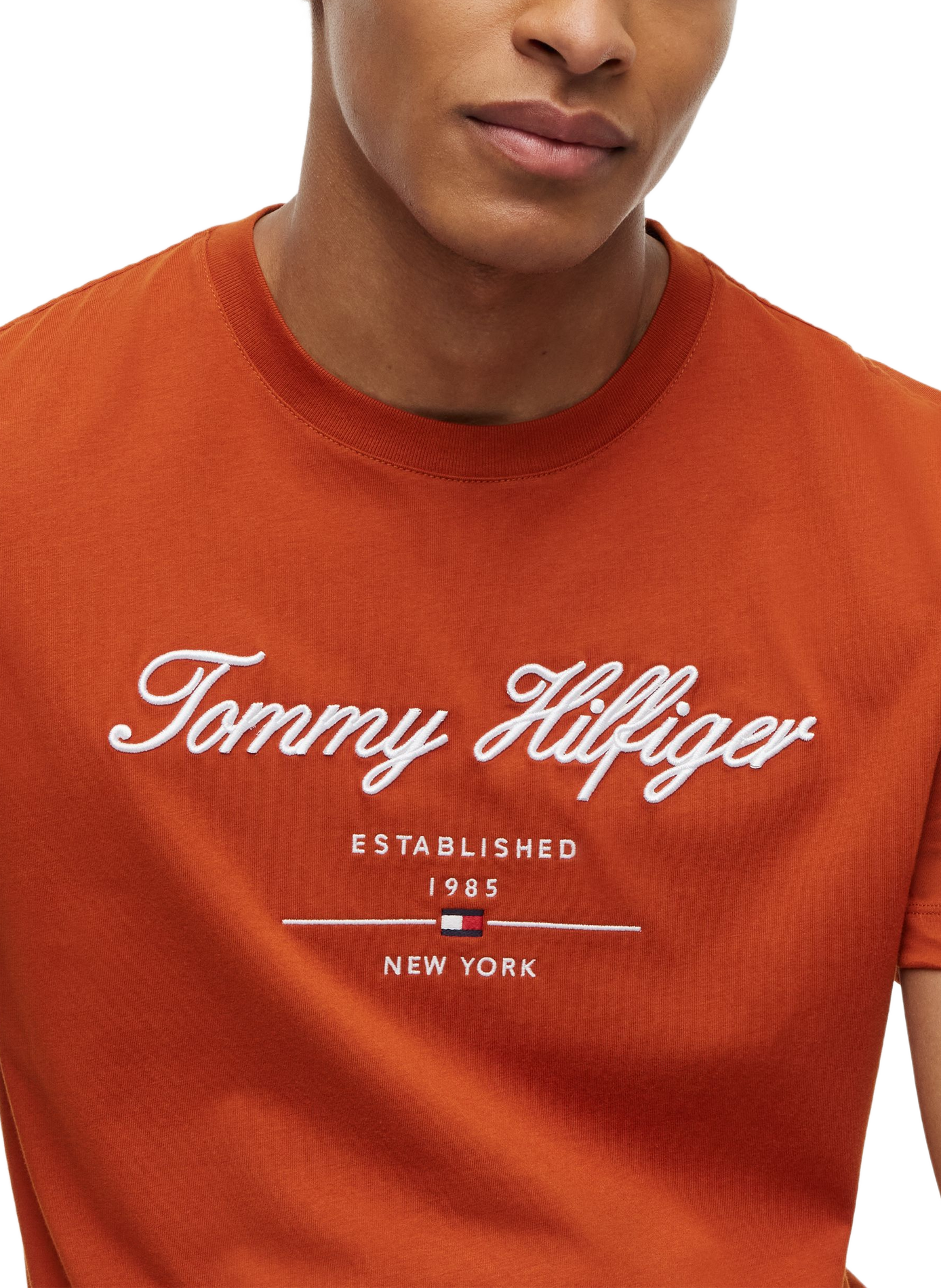 T-shirt manches courtes logo brodé TOMMY HILFIGER Marron