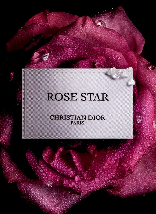 ROSE STAR DE DIOR