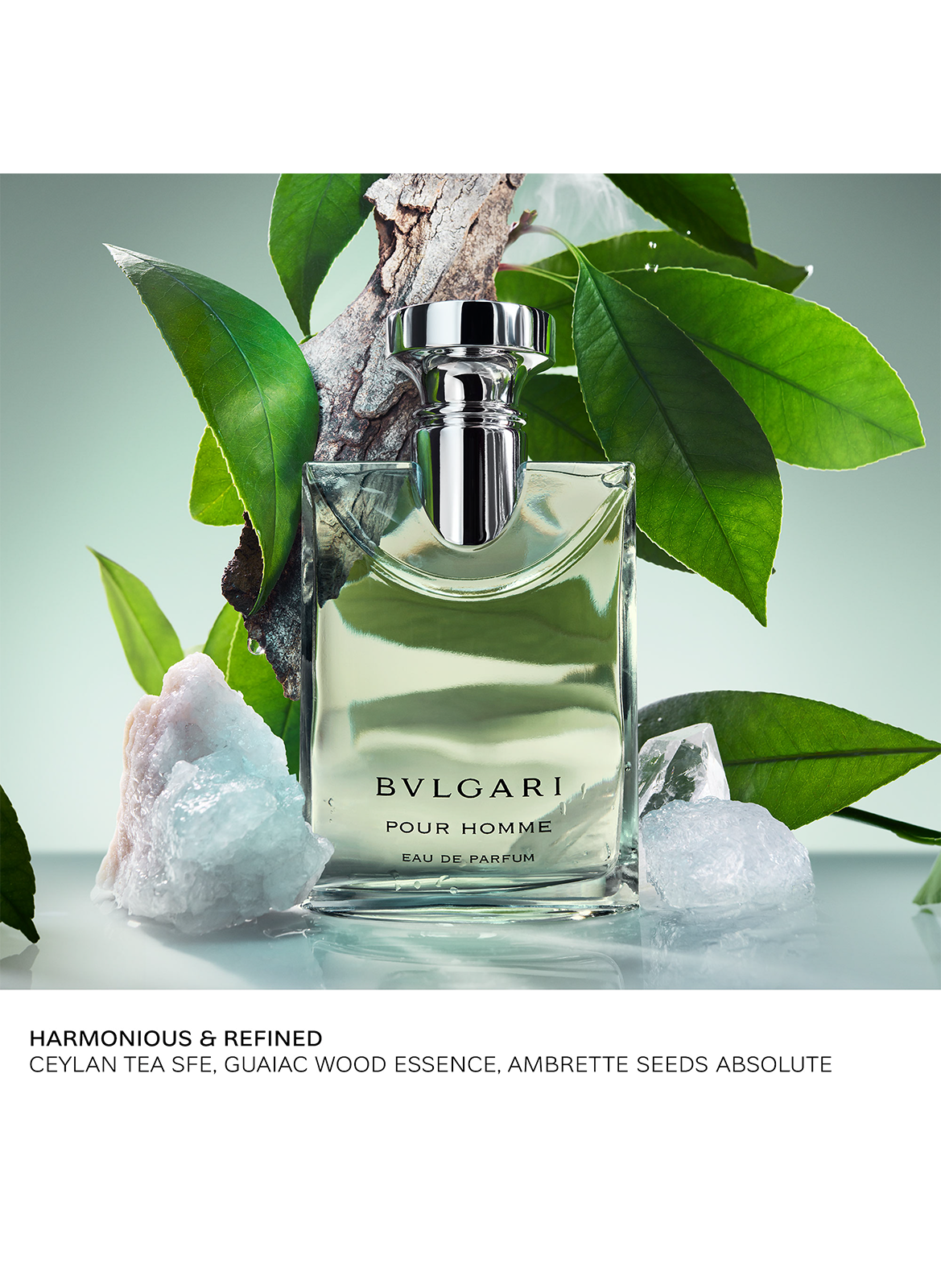 Bvlgari Pour Homme - Eau de Parfum BVLGARI No color