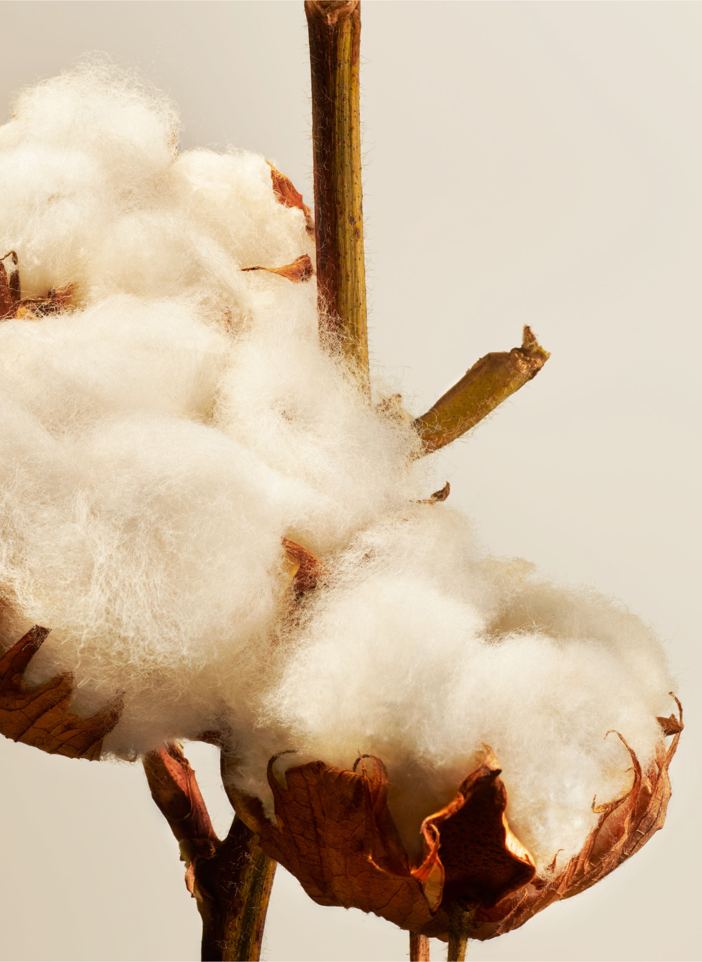 Cotton Blossom - Diffuseur de Parfum RITUALS No color