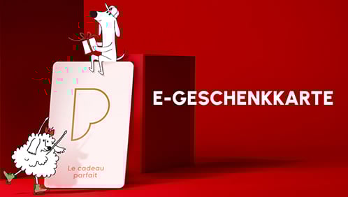 Image d'illustration