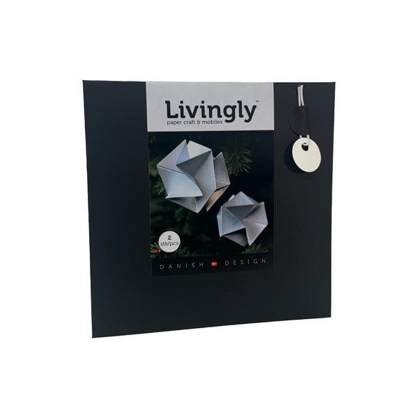 Origami en papierLot de 2