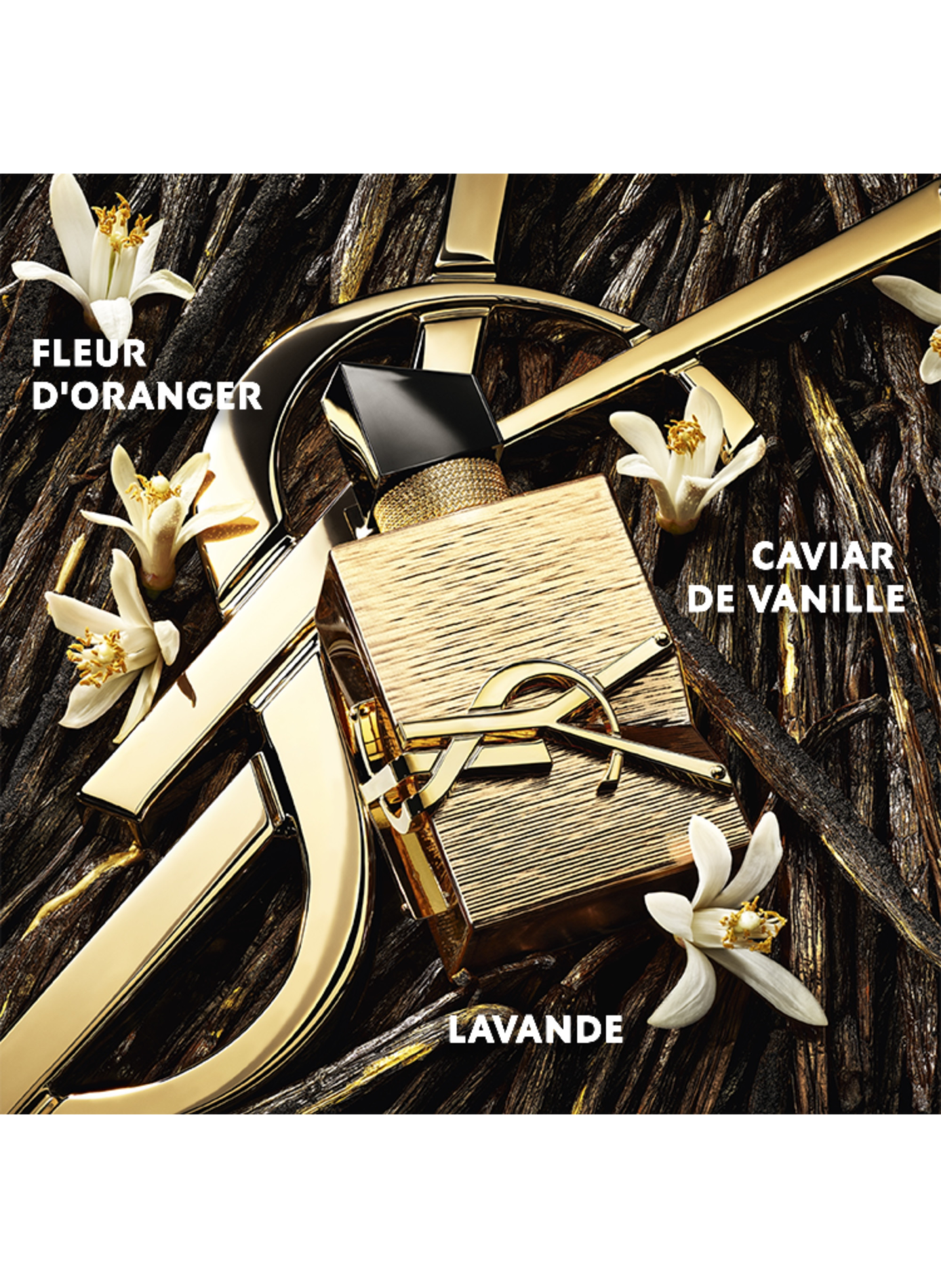 Libre Vanille - Eau De Parfum Femme YVES SAINT LAURENT No color