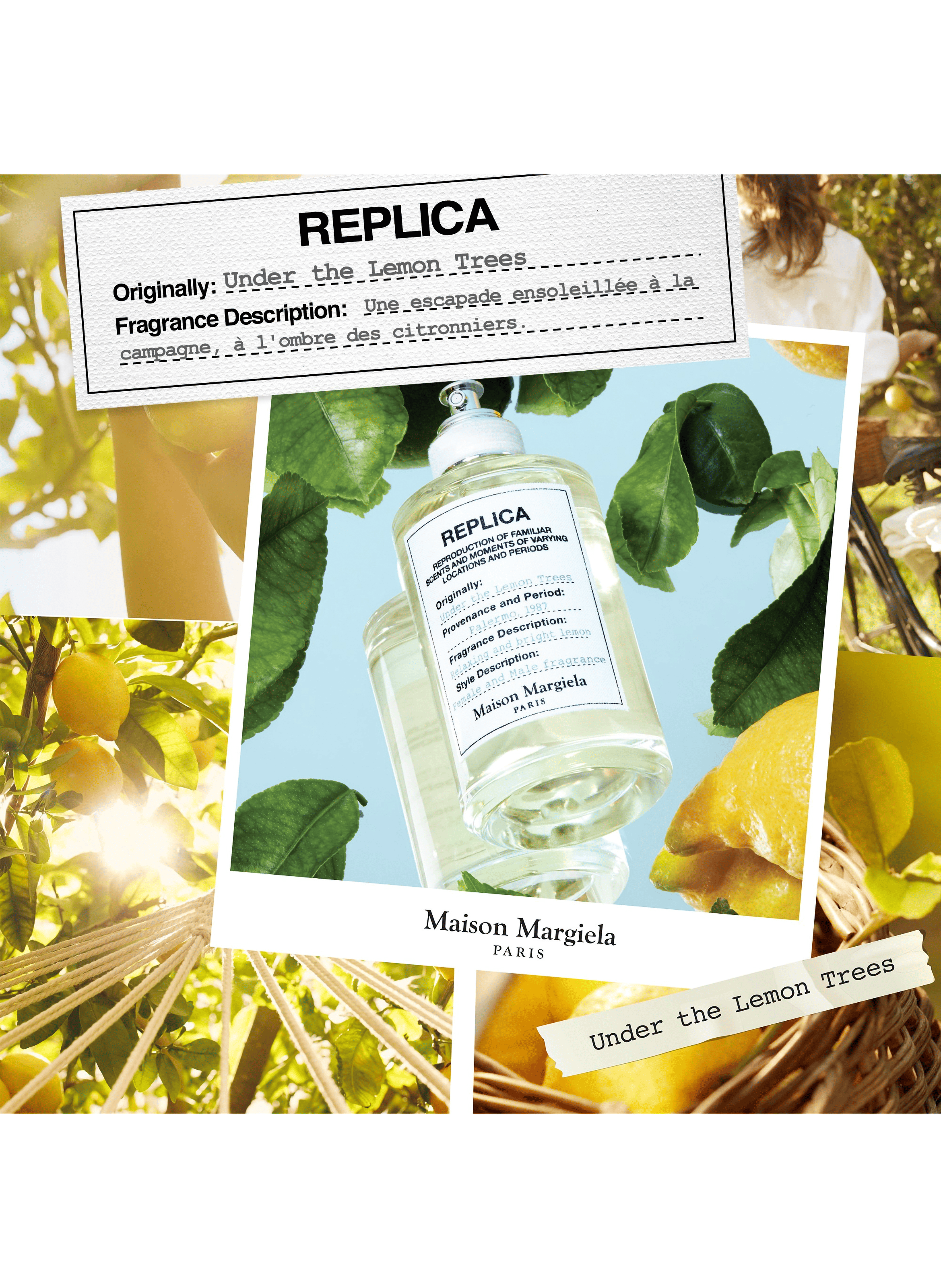 Eau de Toilette REPLICA Under the Lemon Trees MAISON MARGIELA No color