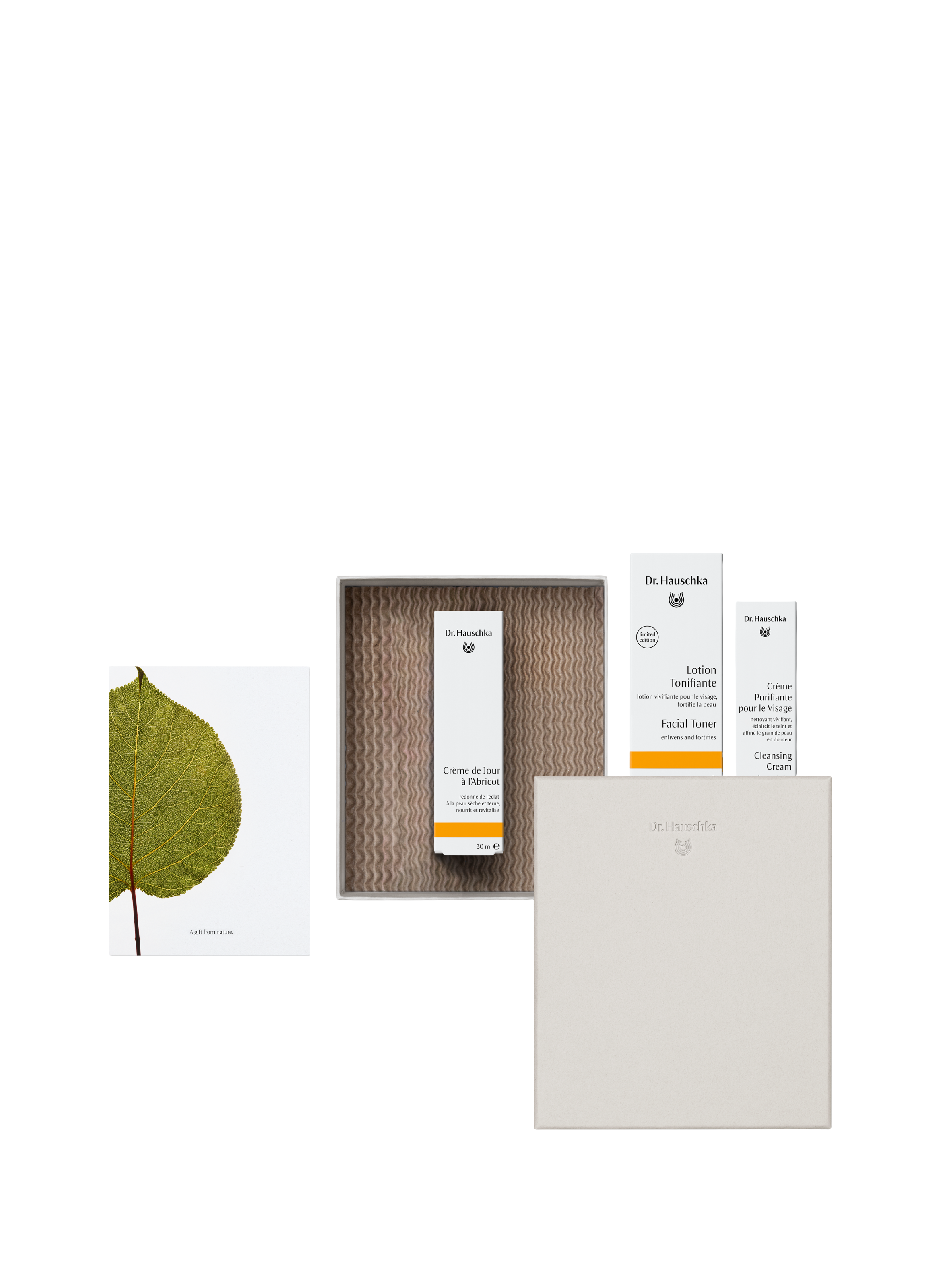 Coffret Noël Rituel Fraîcheur & Éclat 2025 DR HAUSCHKA No color