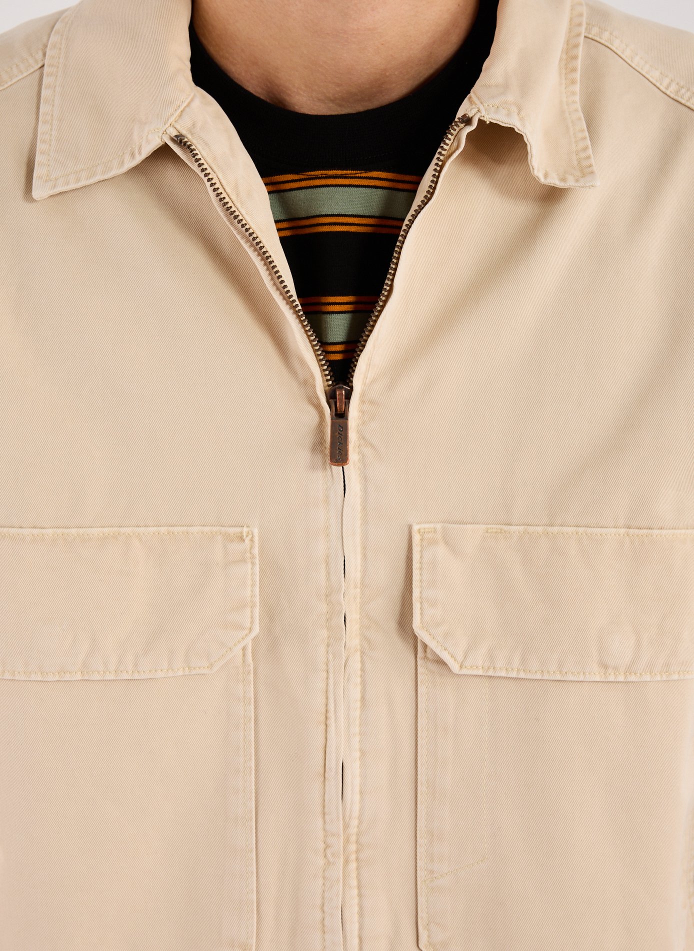 Jacket with classic cotton collar DICKIES Beige