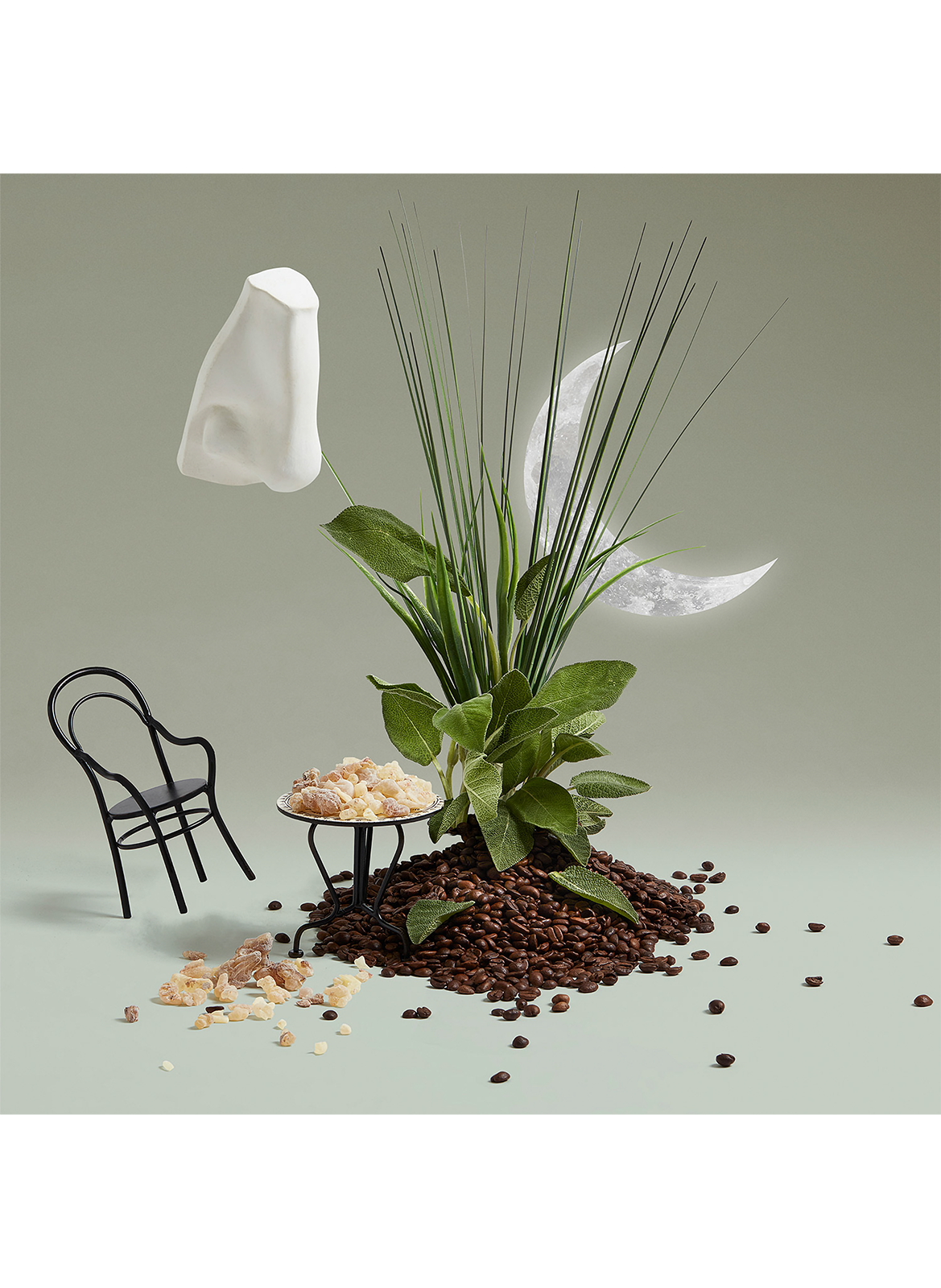 Endymion Cologne - Cologne Water PENHALIGON'S No color