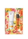 Duo Émotion Sensorielle - Éclat Gourmand by DR HAUSCHKA DR HAUSCHKA Duo Émotion Sensorielle - Éclat Gourmand