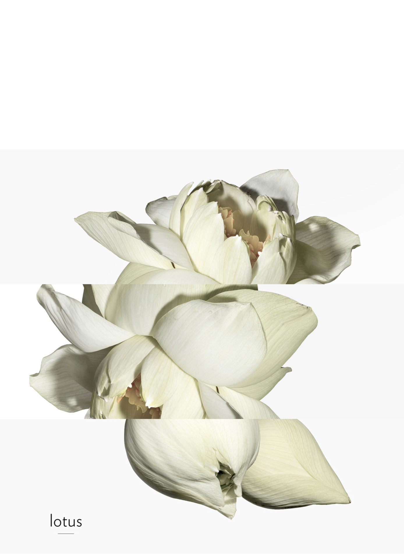 Ein Garten am Nil, Eau de Toilette HERMÈS No color