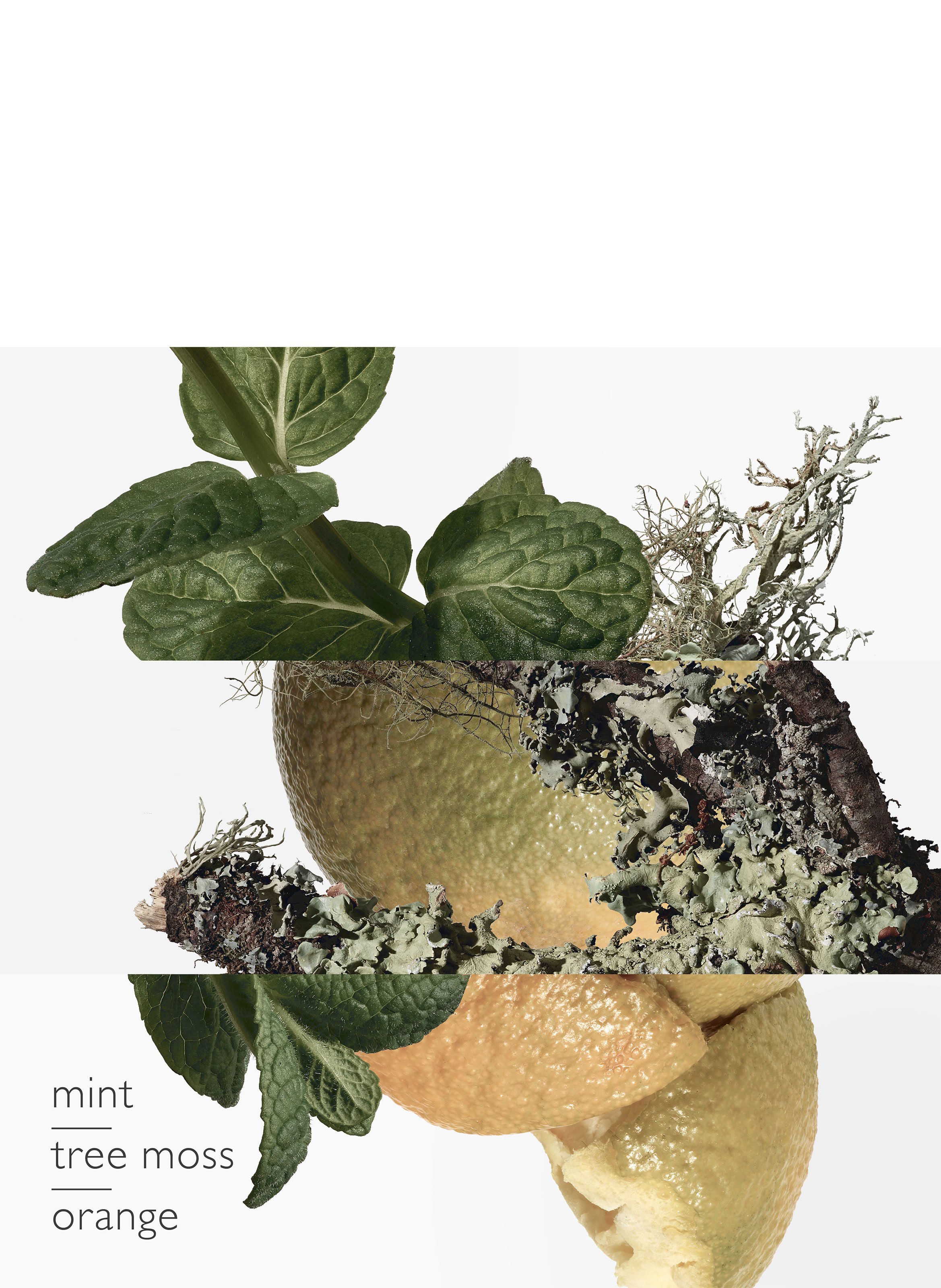 Eau d&#039;orange verte, Eau de cologne HERMÈS No color